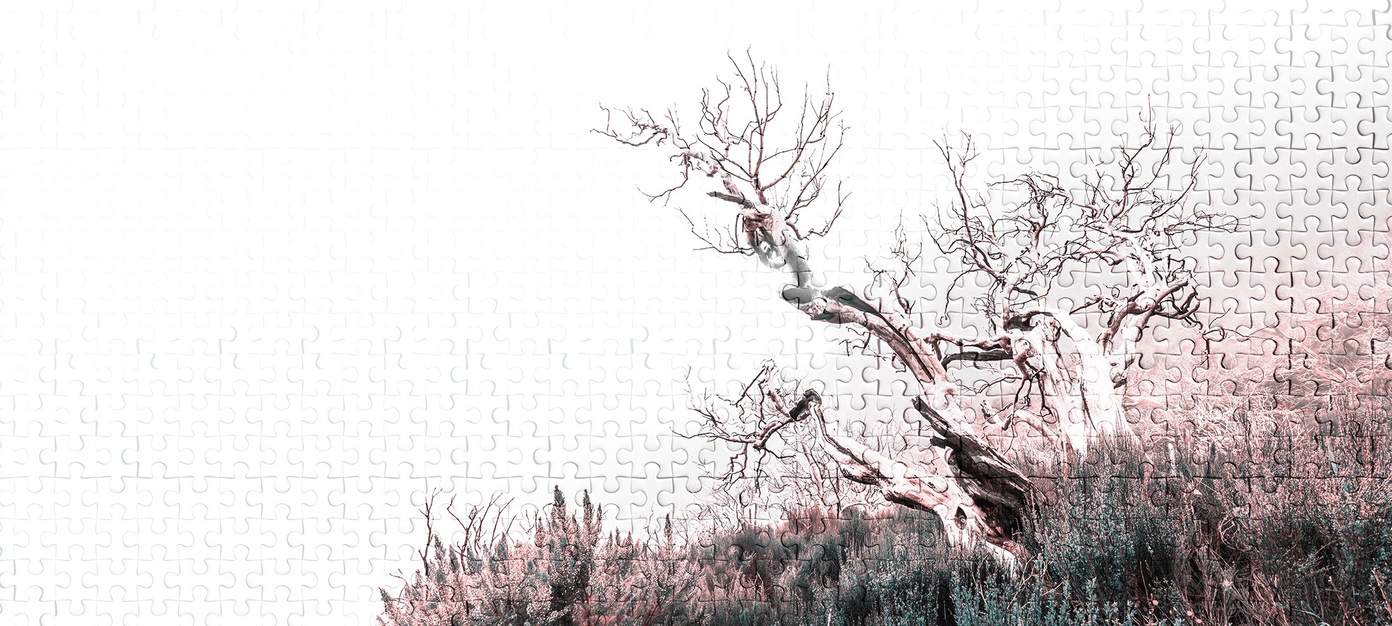 Architects Paper Fototapete »Atelier 47 Death Tree Puzzle 2« Wald glatt Vli günstig online kaufen