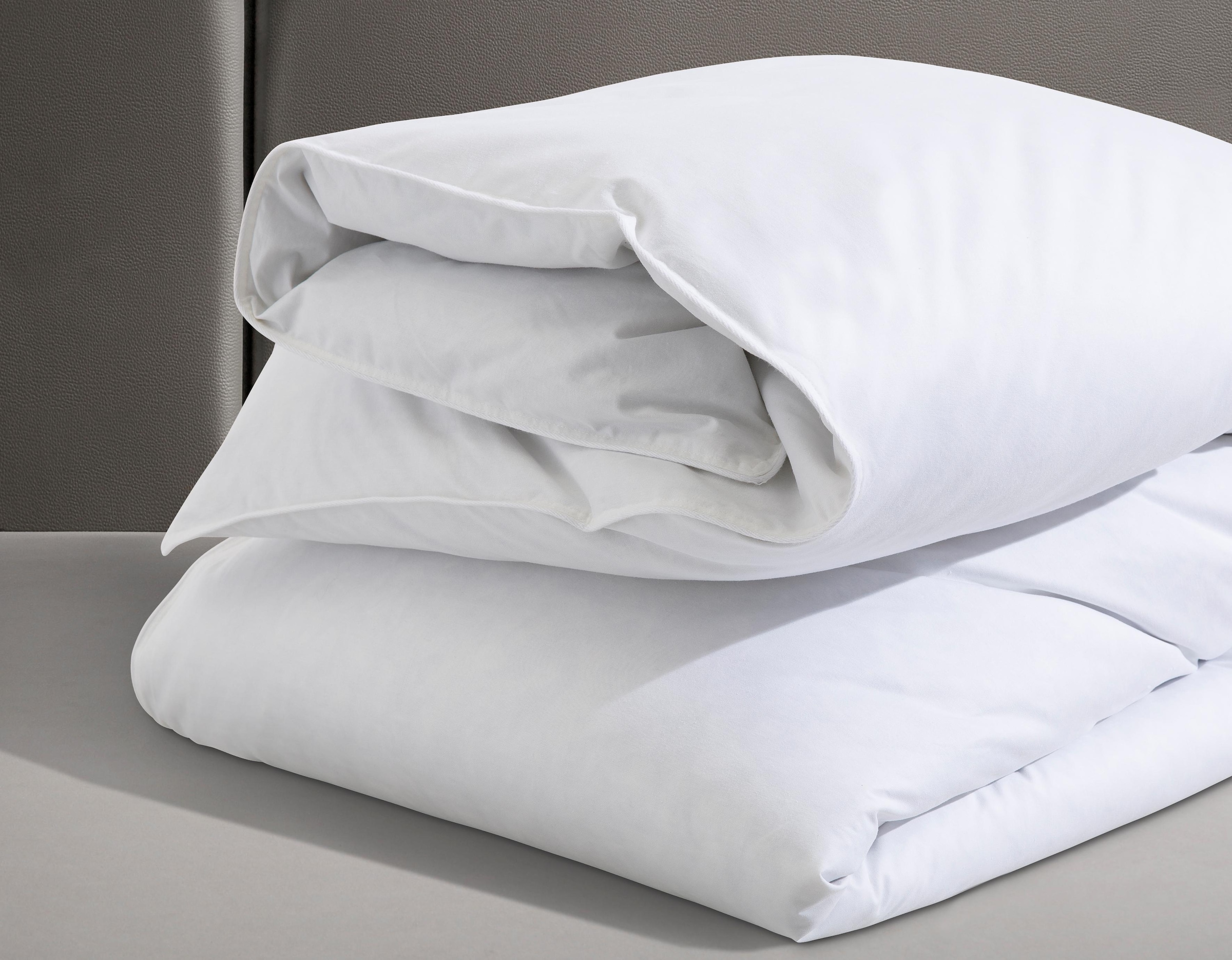 RIBECO Federbettdecke »Leon«, extrawarm, Füllung 90% Federn, 10% Daunen, (1 St.)