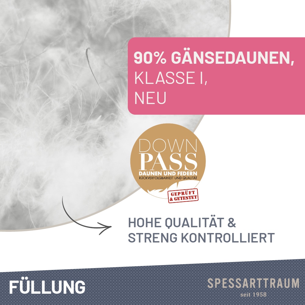 SPESSARTTRAUM Gänsedaunenkopfkissen »Premium Kopfkissen 2-Tlg, 2x40x80 & 2x80x80 cm«, Füllung: 90% Gänsedaunen, 10% Gänsefedern, Bezug: 100% Baumwolle, (Spar-Set, 2 St.), hergestellt in Deutschland, allergikerfreundlich, im Set günstiger