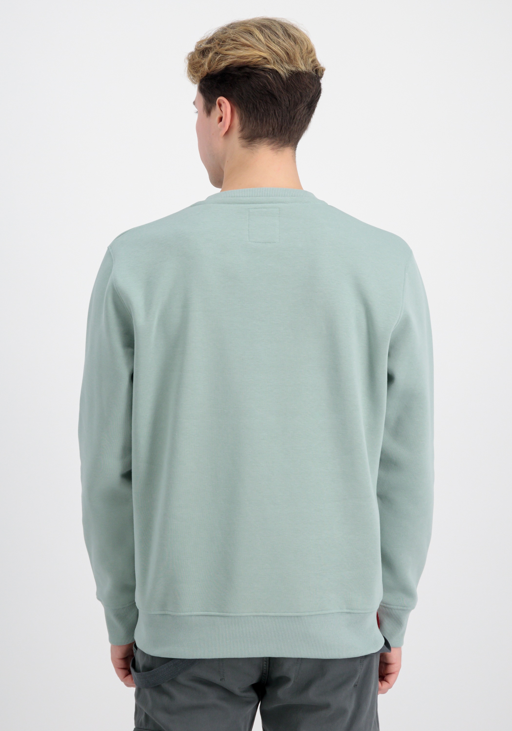 Alpha Industries Sweater »Alpha Industries Men - Sweatshirts Basic Sweater Rubber«