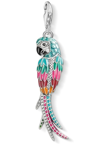 Charm-Einhänger »Papagei, Y0002-691-7«