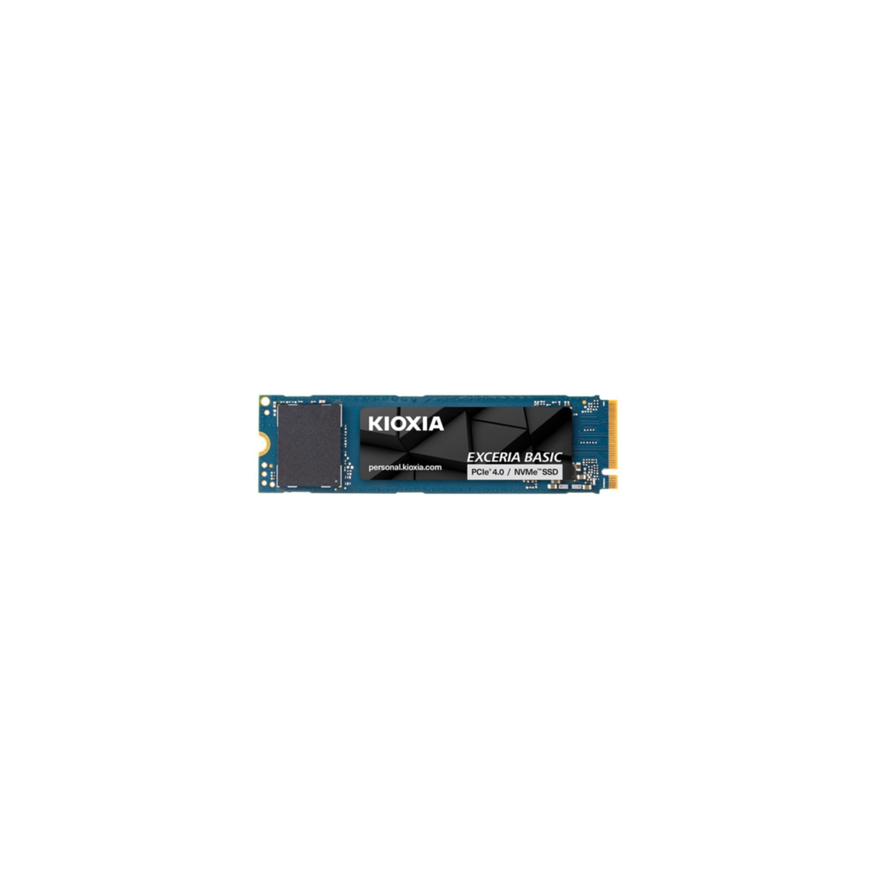 KIOXIA interne SSD »LSF10Z001TG8«