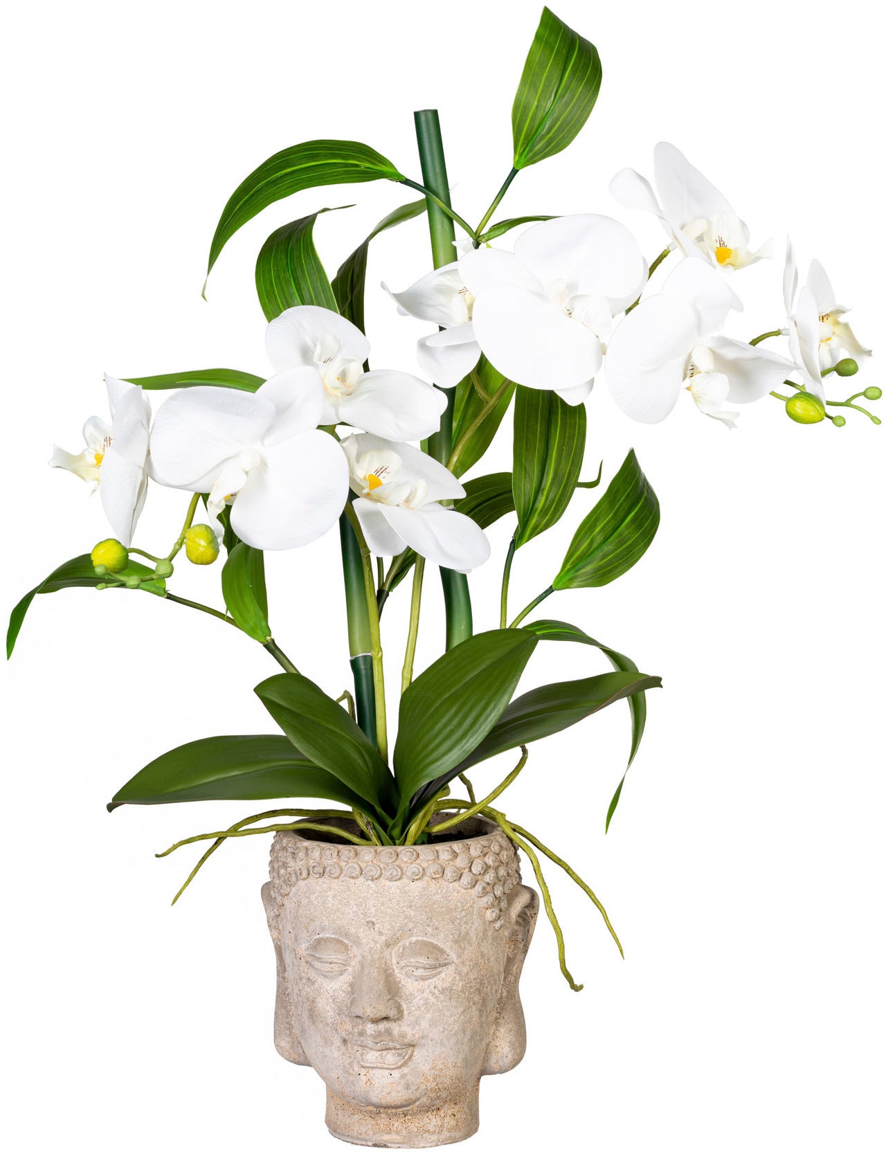 Creativ green Kunstorchidee »Orchideen-Bambus-Arrangement im Buddhakopf« günstig online kaufen