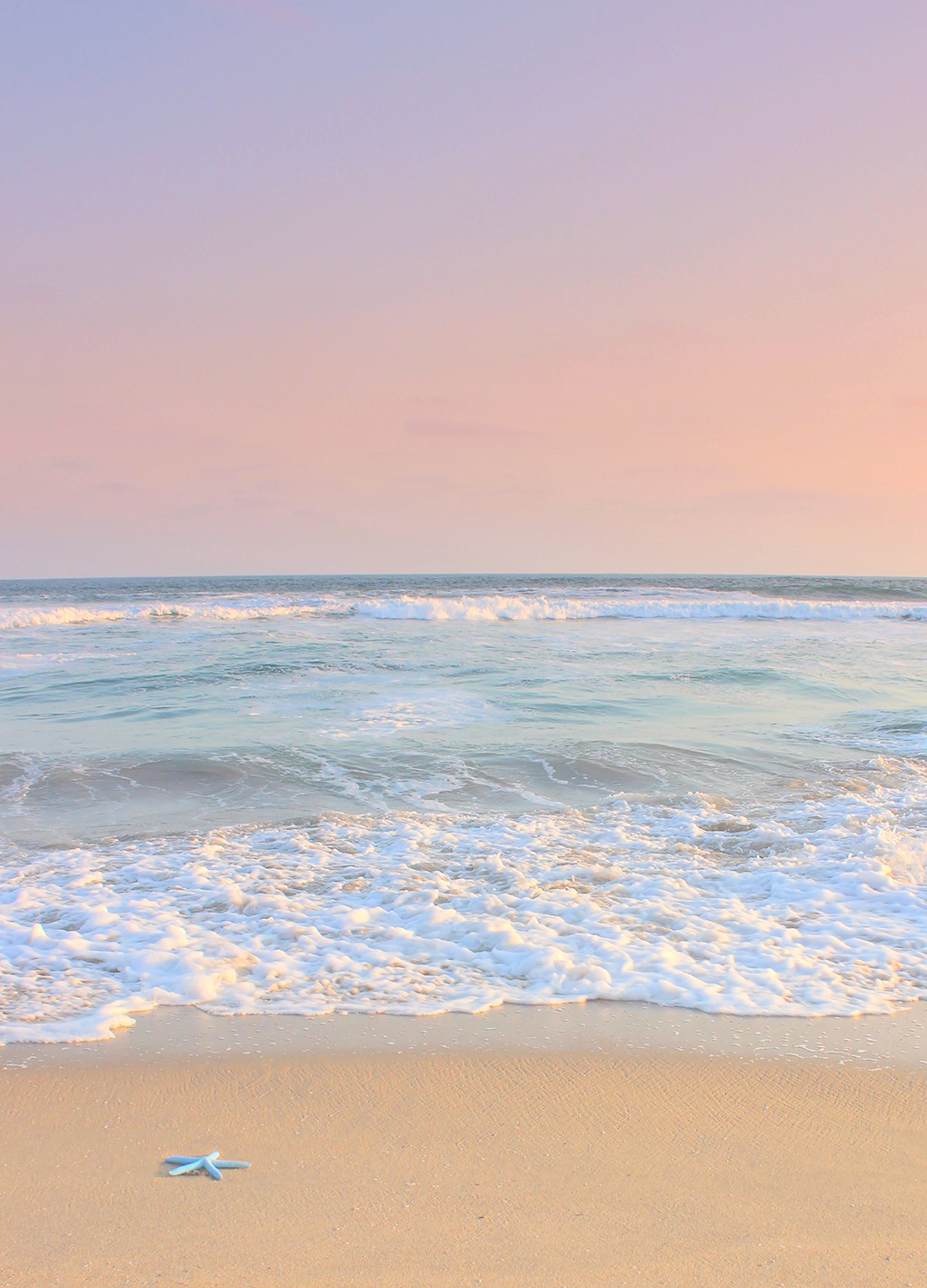 queence Fototapete »Seestern« Meer   Motiv   bedruckt   realistisch glatt W günstig online kaufen