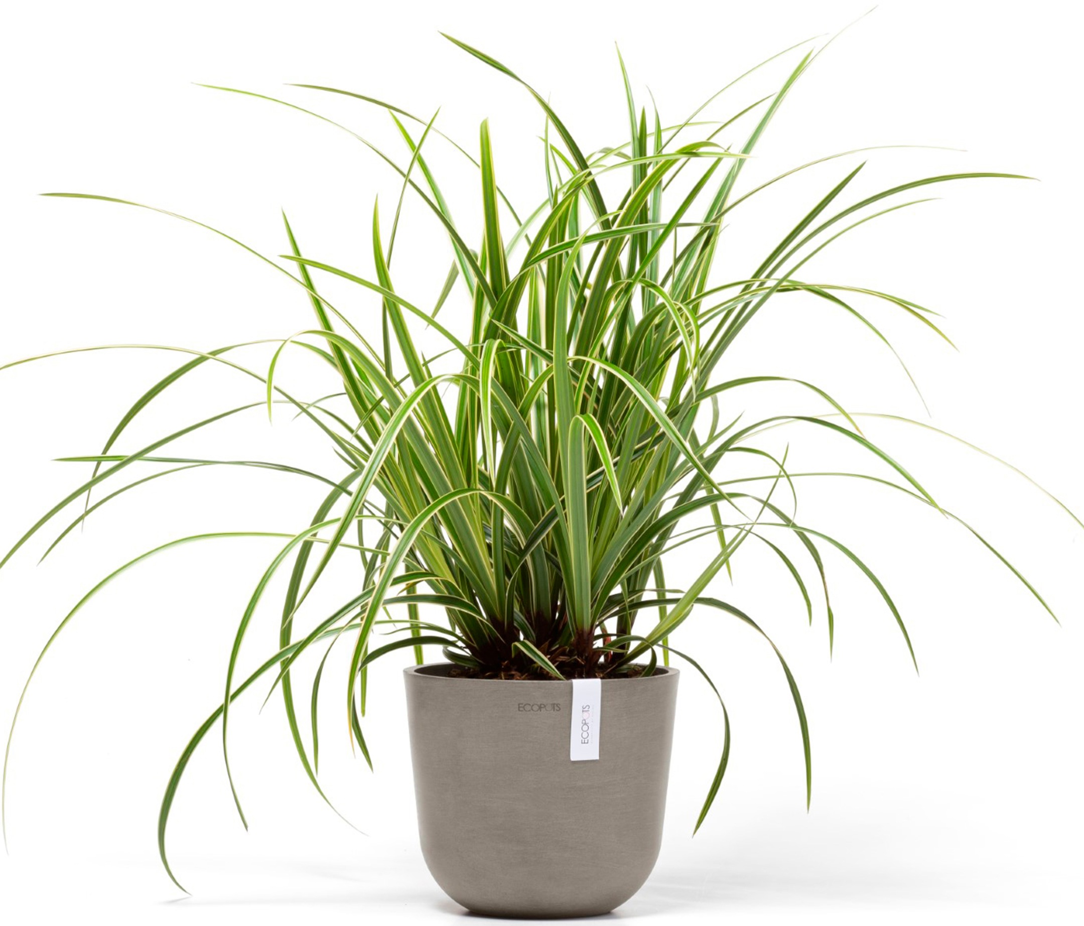 ECOPOTS Blumentopf »Oslo 19 Taupe«, für den Innenbereich