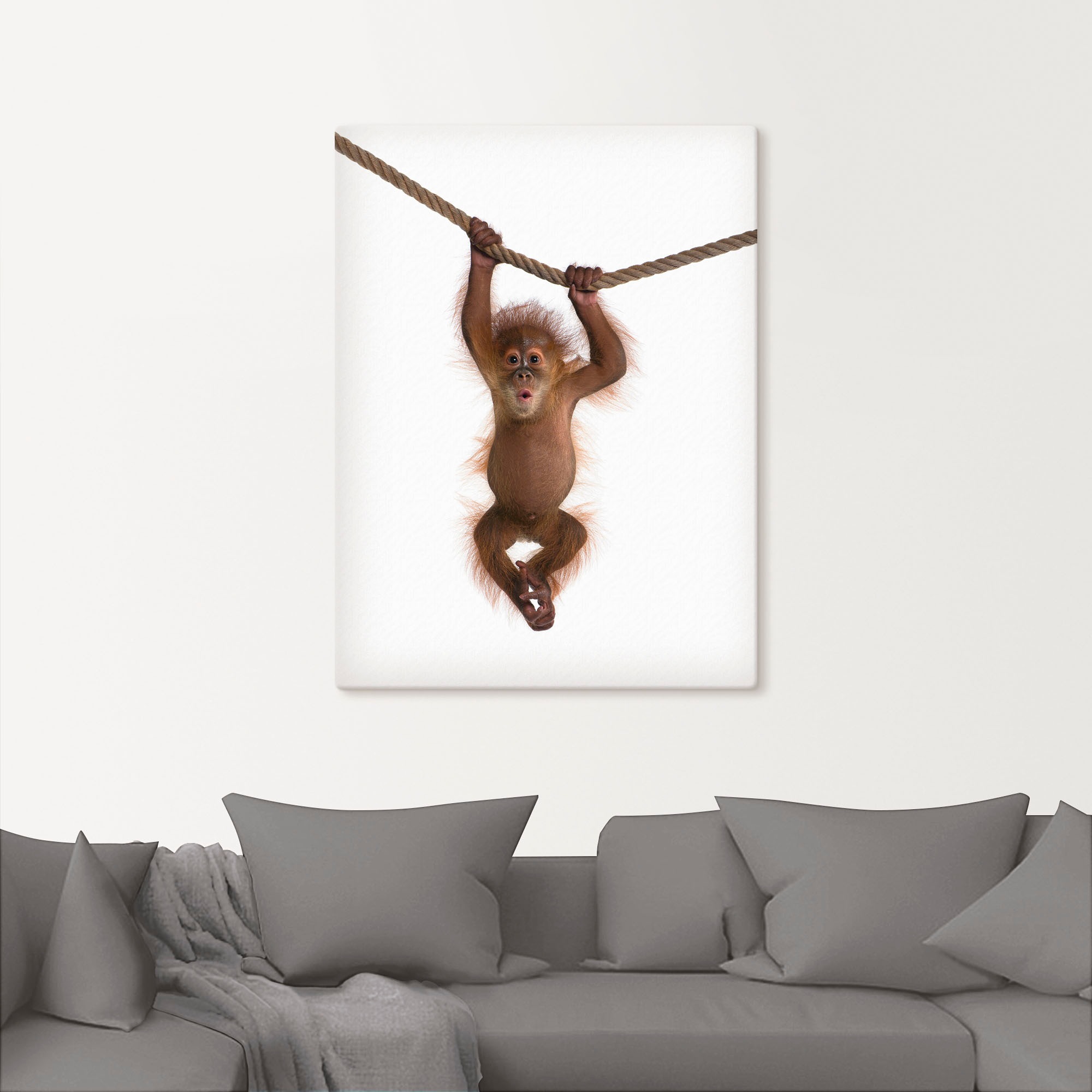 Artland Leinwandbild »Baby Orang Utan hängt an Seil II« Wildtiere 1 Stk. tlg. auf Holzrahmen gespannt