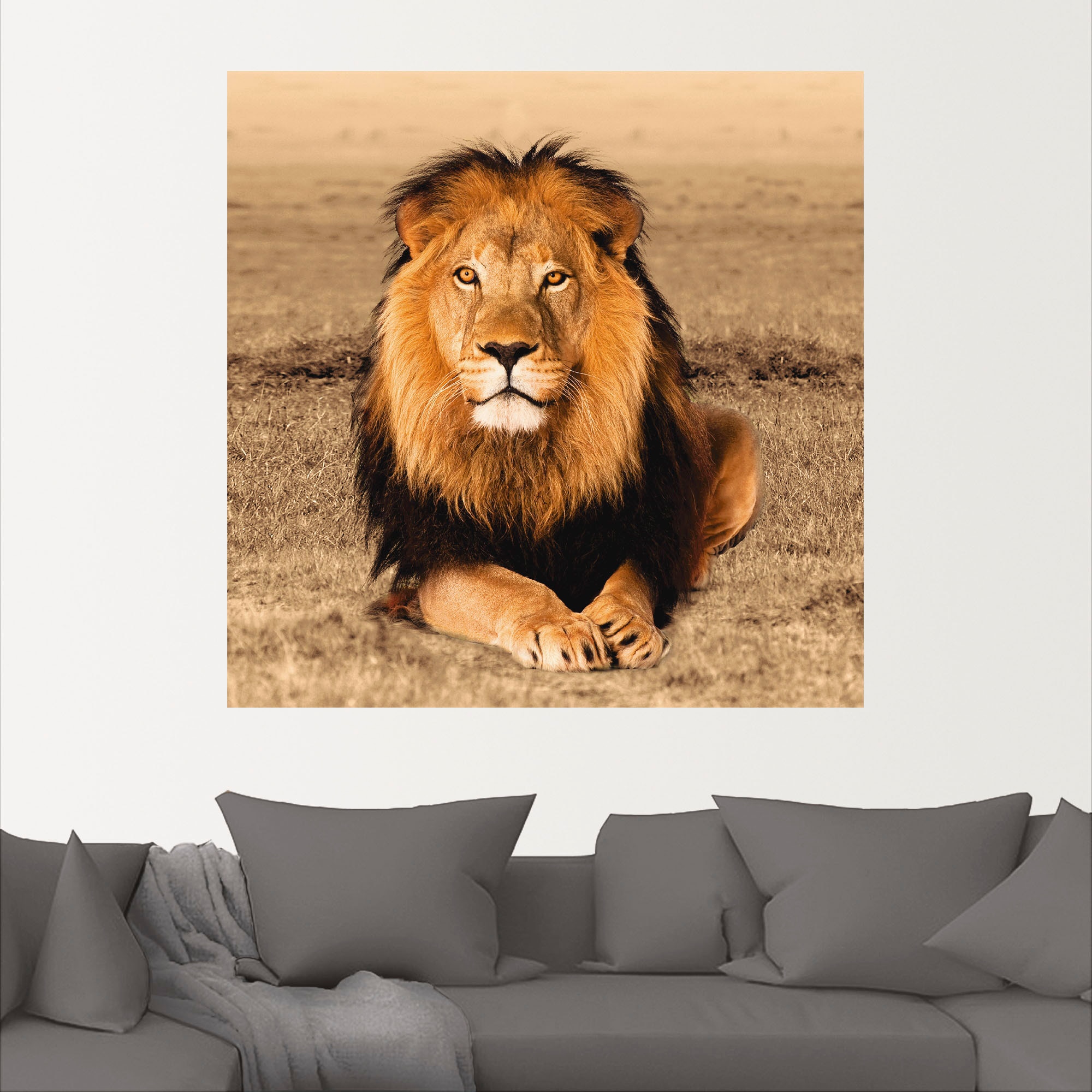 Artland Wandbild »Löwe«, Wildtiere, (1 St.), als Alubild, Outdoorbild, Leinwandbild, Poster, Wandaufkleber