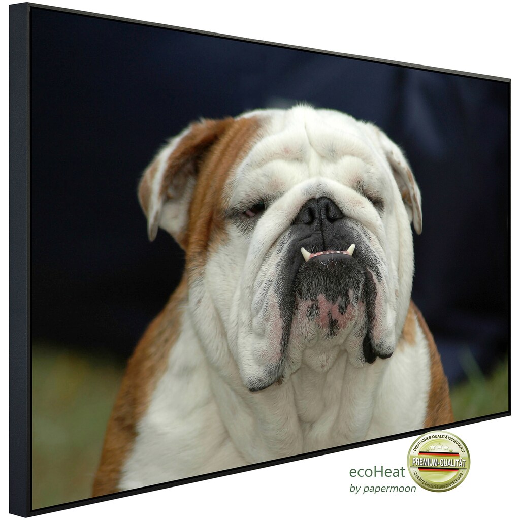 Papermoon Infrarotheizung »Englisches Bulldoggenporträt«