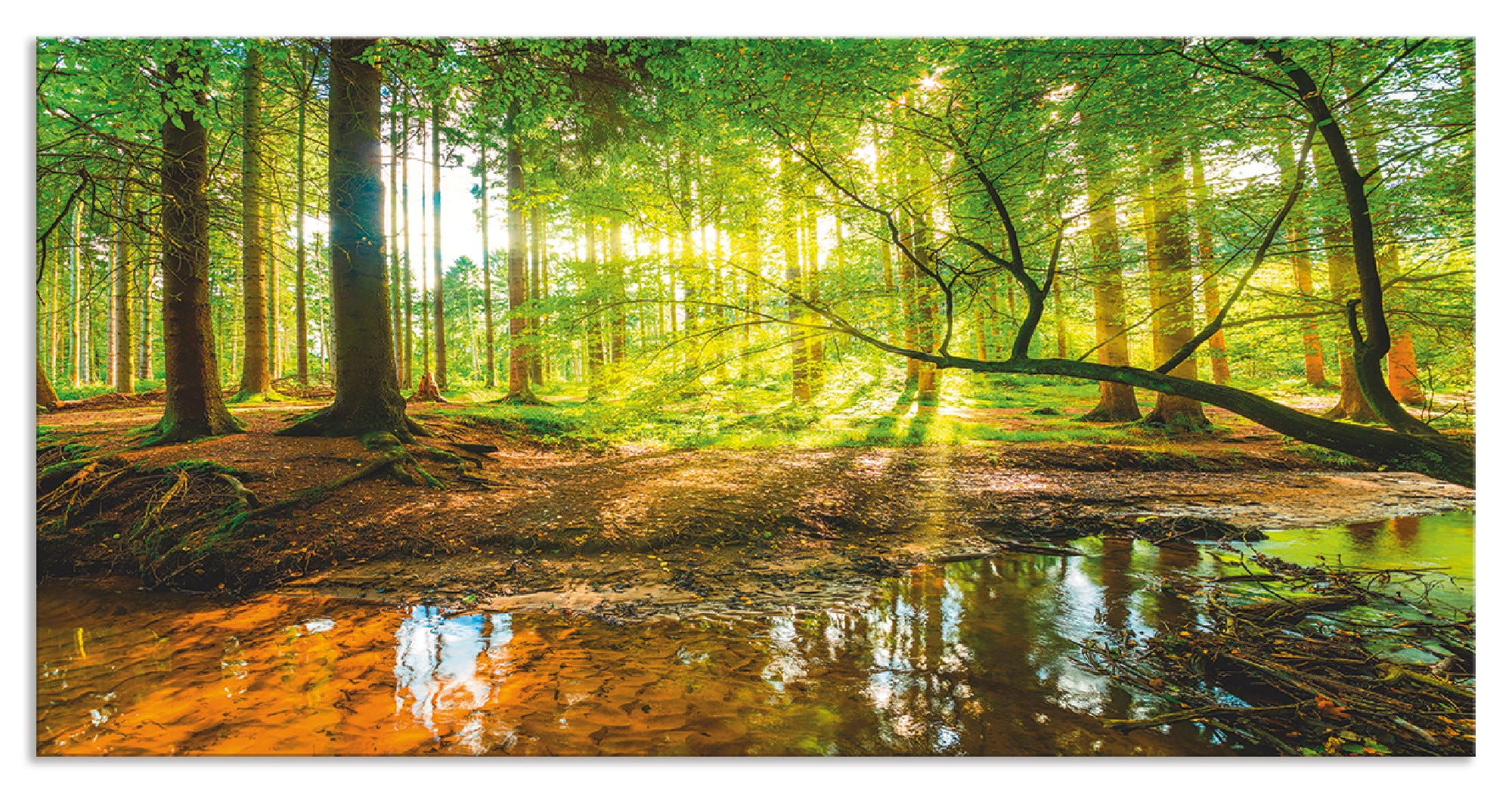 Artland Küchenrückwand »Wald mit Bach«, (1 tlg.), Alu Spritzschutz mit Klebeband, einfache Montage