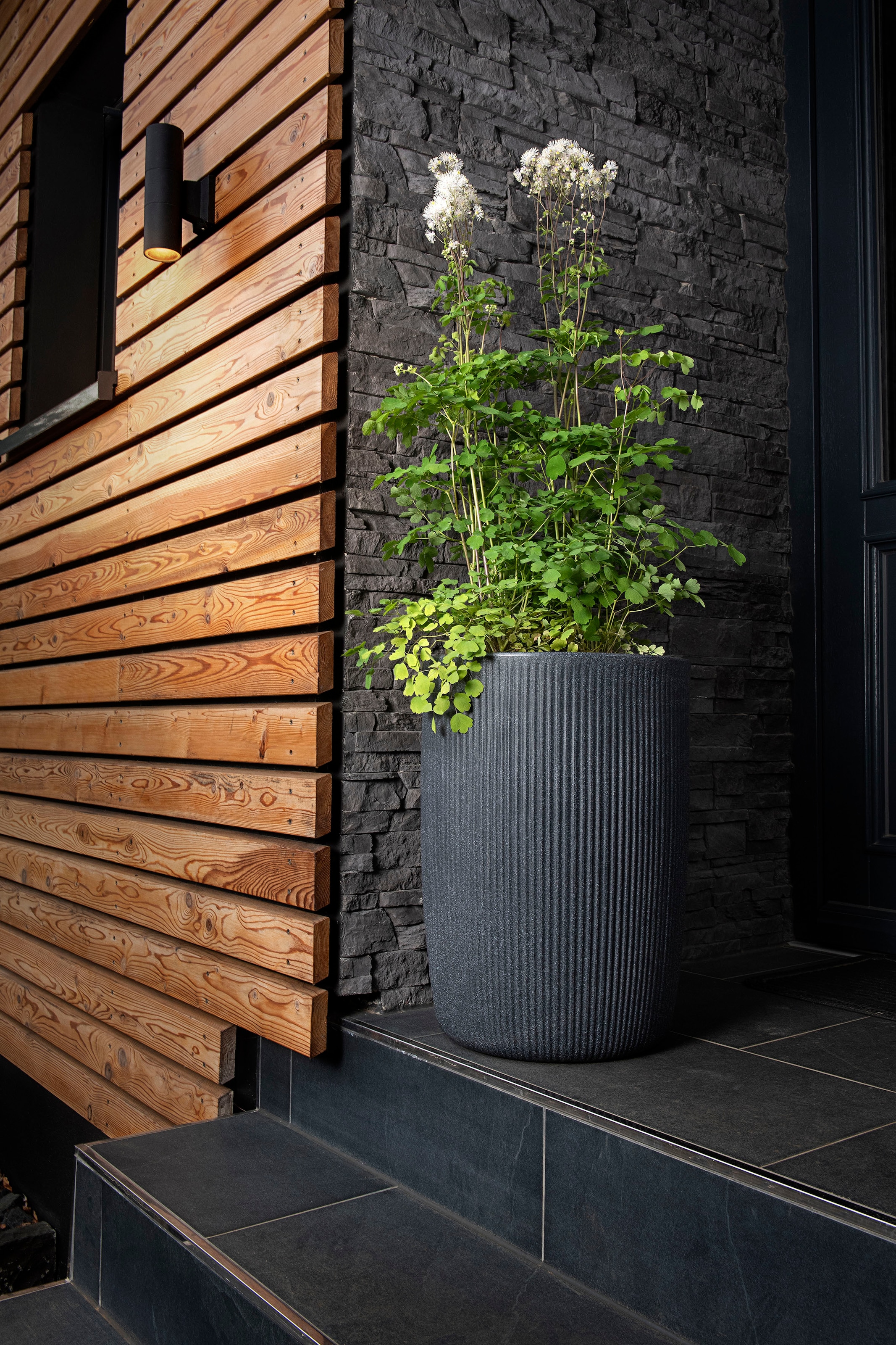 Scheurich Blumentopf »54/260 linetto high«