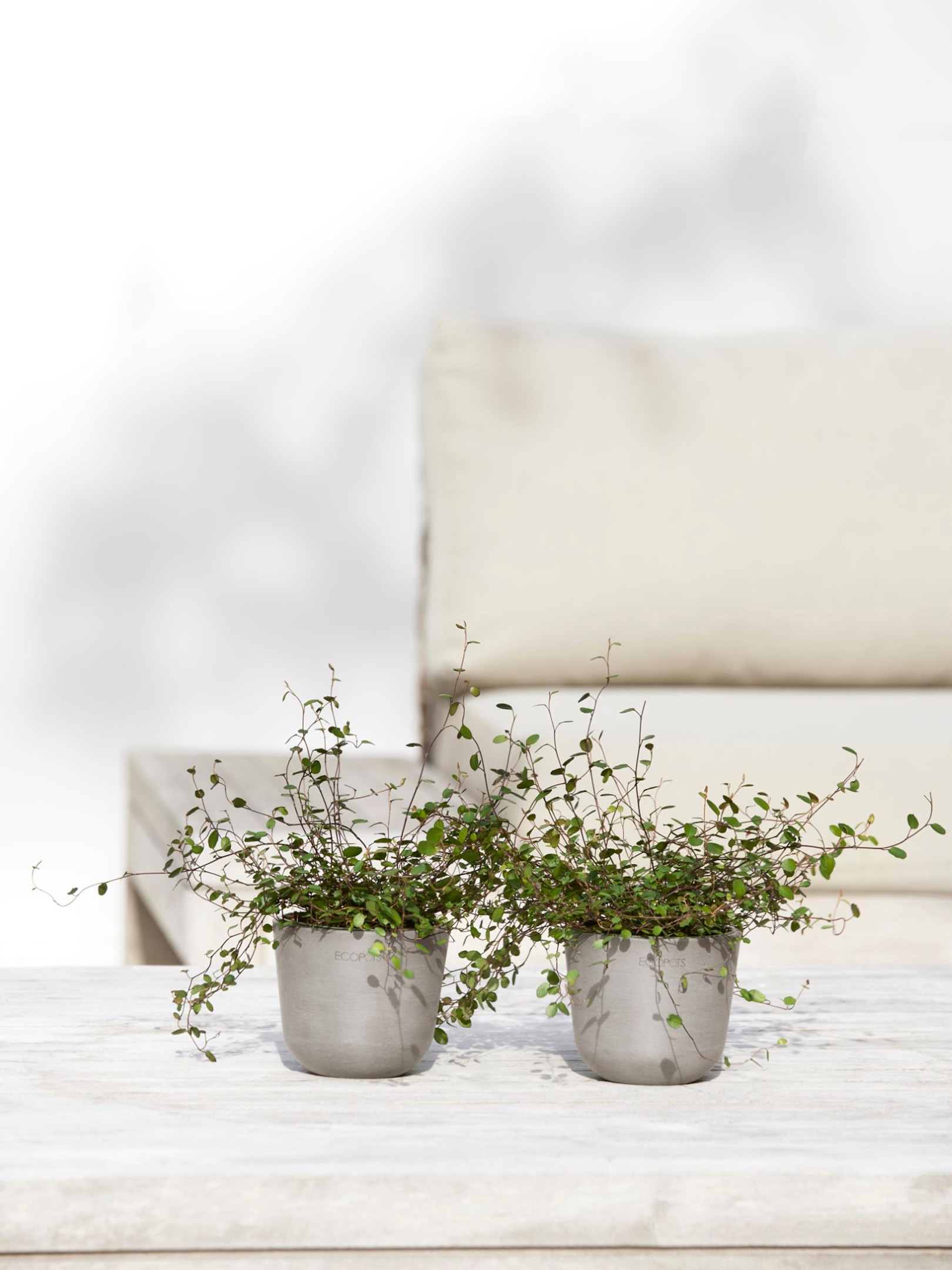 ECOPOTS Blumentopf »Oslo Mini 11,5 Taupe«, für den Innenbereich