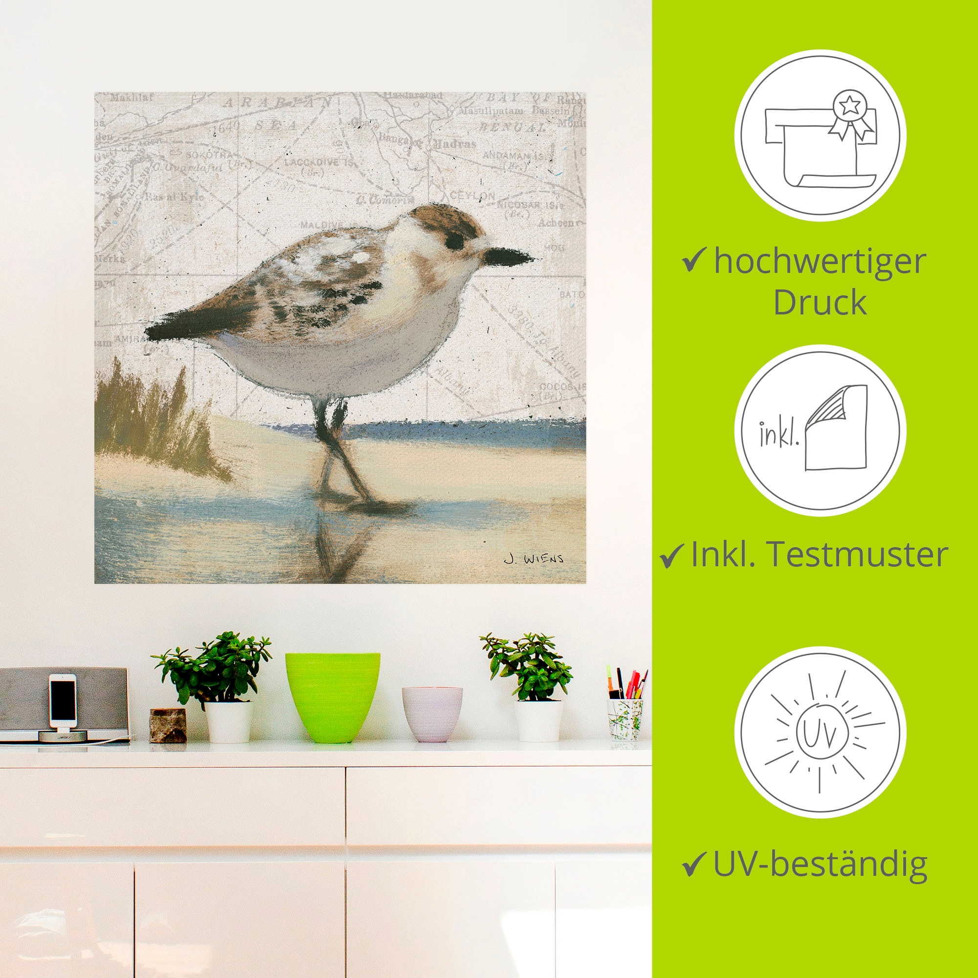 Artland Wandbild »Möwe I«, Vögel, (1 St.), als Leinwandbild, Wandaufkleber in verschied. Größen