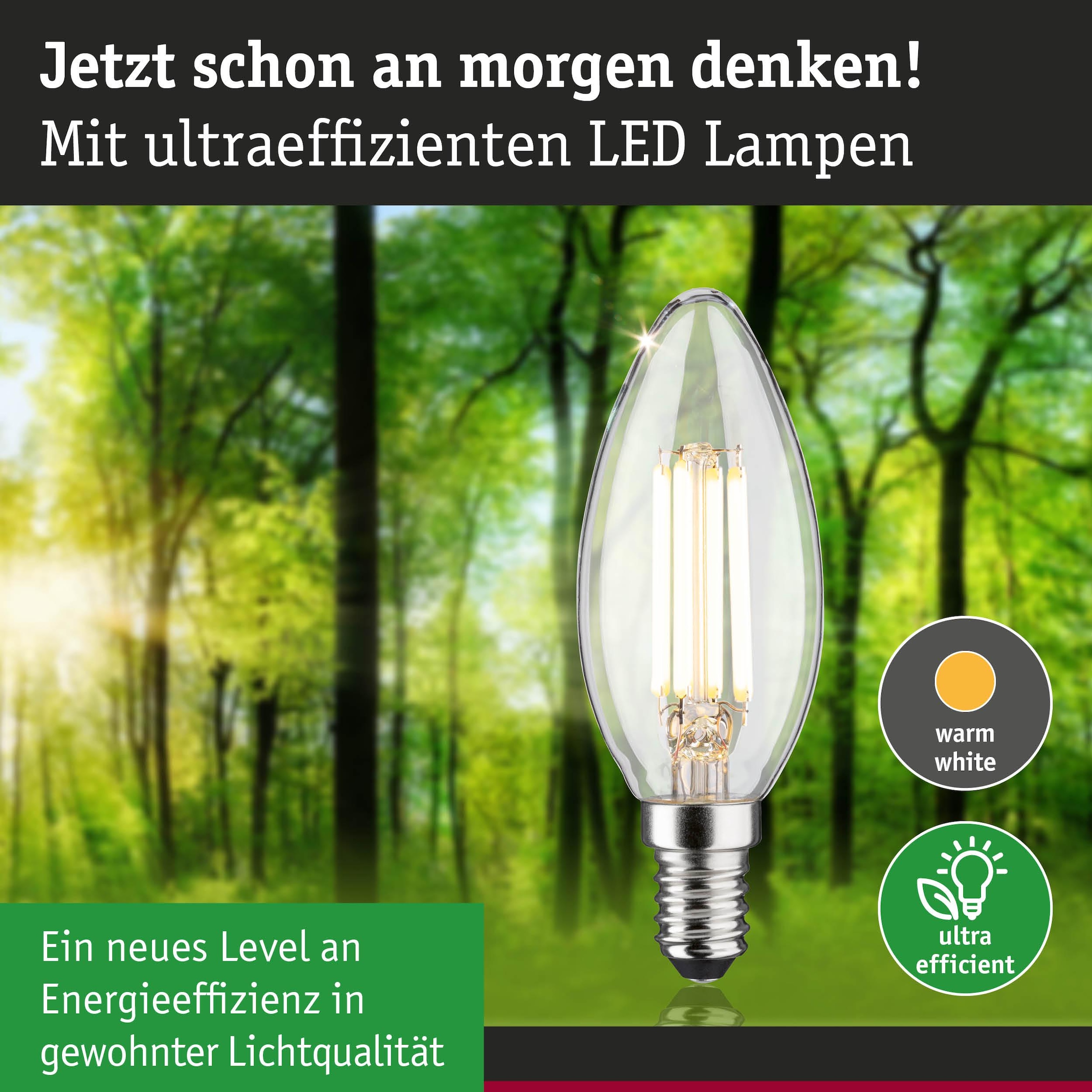 Paulmann LED-Leuchtmittel »Eco-Line Kerze 840lm 4W 3000K klar 230V« E14 1 Stk. Warmweiß