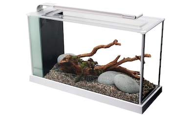 FLUVAL Aquarium »Nano-Aquarium Spec 5«, BxTxH: 52x19x29,5 cm, 19 l kaufen