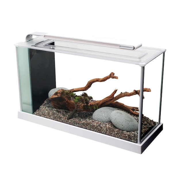 FLUVAL Aquarium »Nano-Aquarium Spec 5«, BxTxH: 52x19x29,5 cm, 19 l online  bestellen