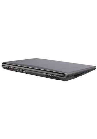 CAPTIVA Gaming-Notebook »Advanced Gaming R65-680CH«, (43,9 cm/17,3 Zoll), AMD, Ryzen... kaufen