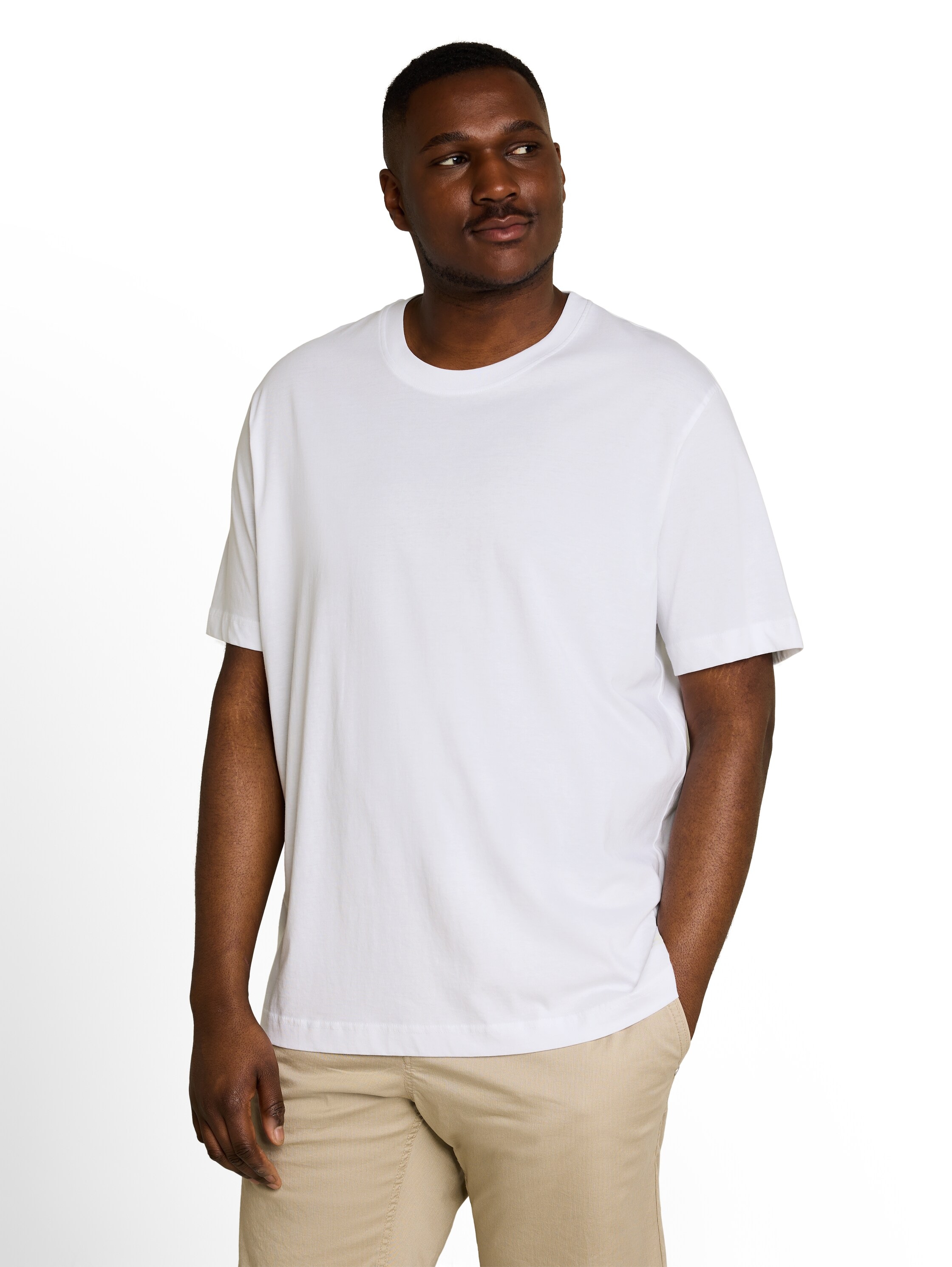 TOM TAILOR PLUS Print-Shirt Packung, 2er,  im 2er Pack