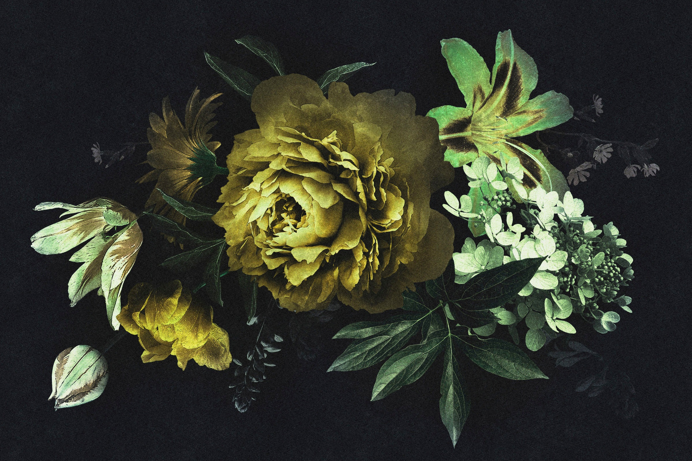 A.S. Création Leinwandbild »drama queen«, Kunst-Blumen-Kinder, (1 St.), Keilrahmen Bild Floral Blumen Leinwand-Bild Wohnzimmer modern Wandbild