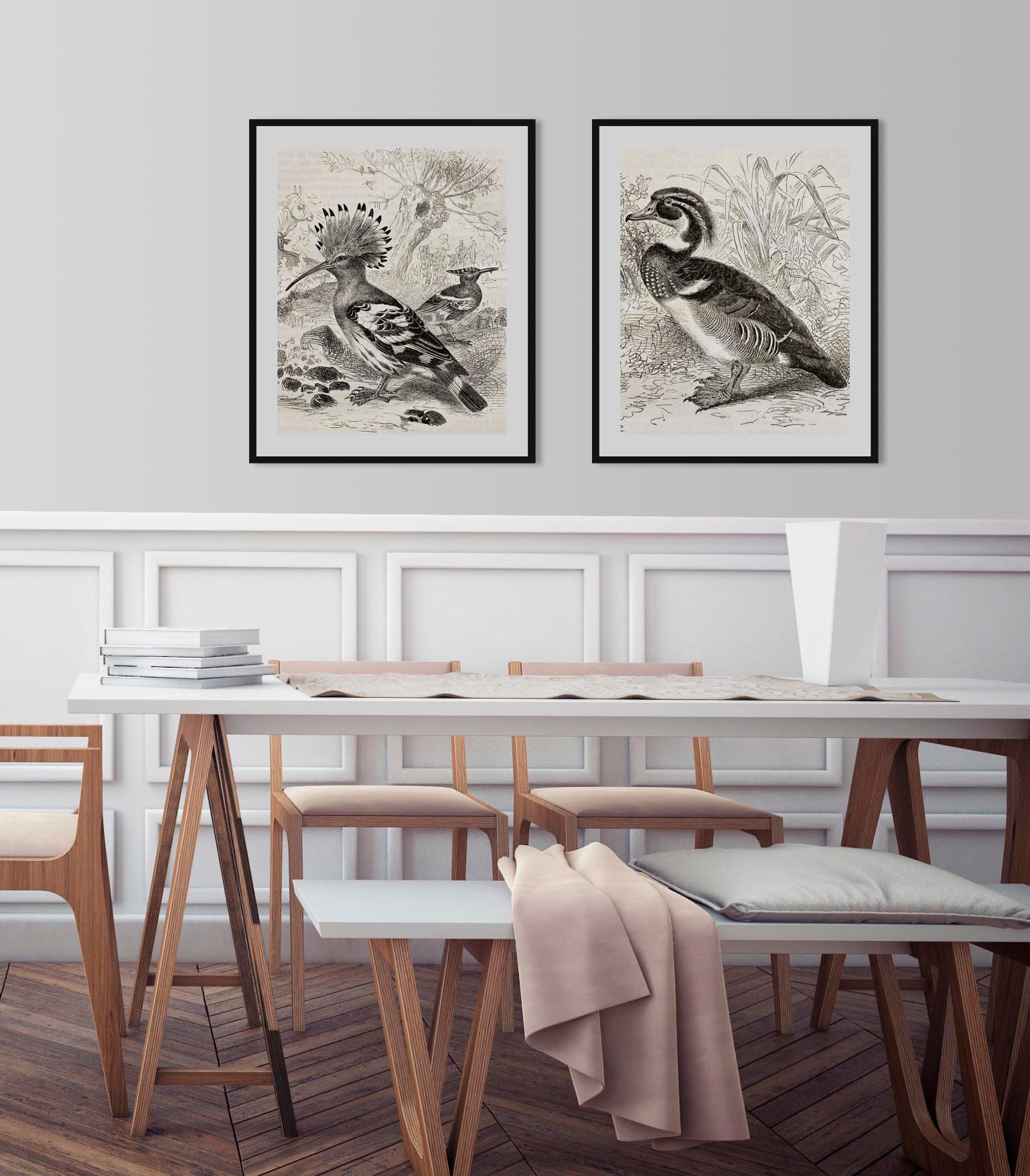 queence Bild »Donald«, Vögel-Vogelbilder-historische Ereignisse-Kunst, (1 S günstig online kaufen