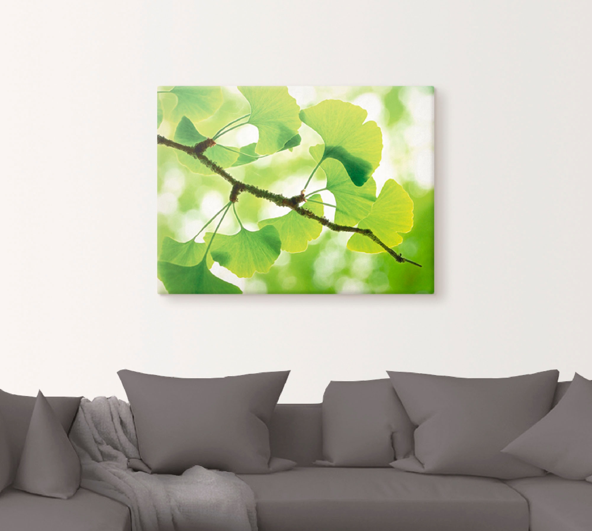 Artland Wandbild »Ginkgo« Blätter 1 Stk. tlg. als Leinwandbild, Poster in v günstig online kaufen