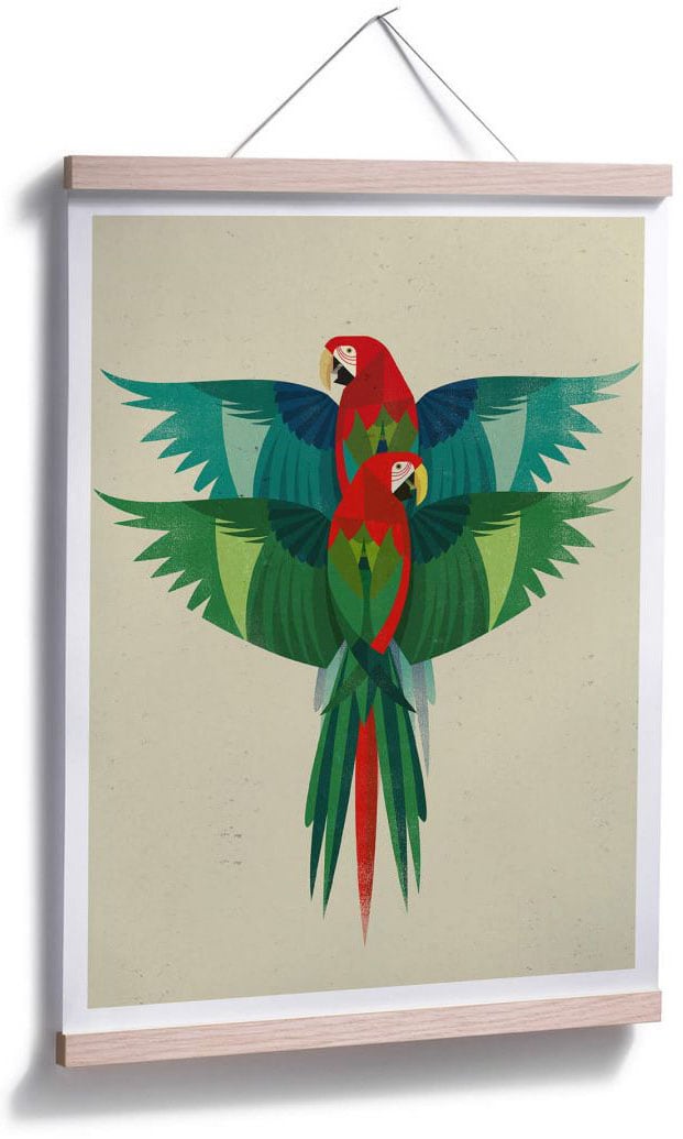 Wall-Art Poster »Ara Illustration bunt«, Papageien, (1 St.), Poster ohne Bilderrahmen