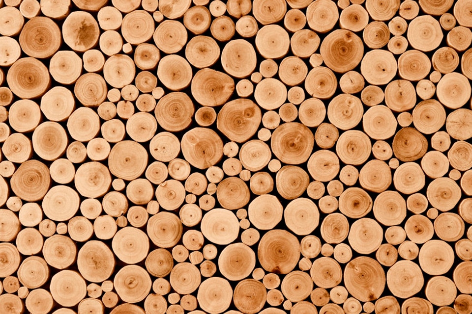 Papermoon Fototapete »Round Teak Wood«
