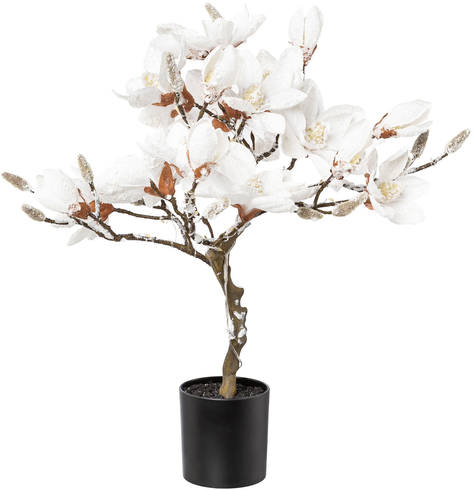 Creativ deco LED Baum »Magnolie«, flammig-flammig, Höhe kaufen beschneit, 25 ca. LEDs 58 cm, 20 online mit