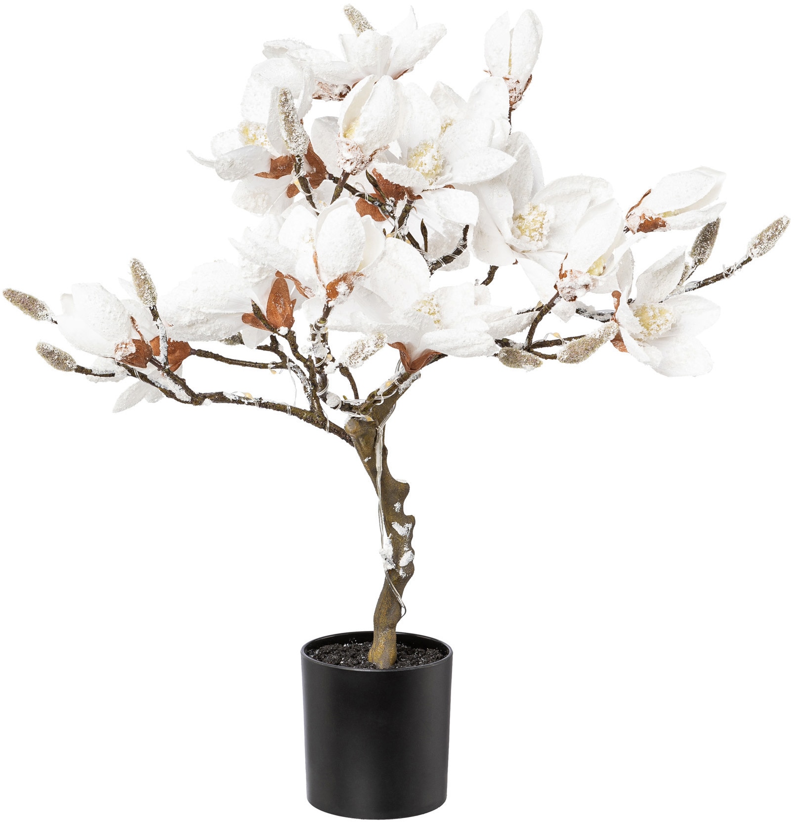 Creativ deco LED beschneit, cm, Baum ca. mit Höhe 20 »Magnolie«, kaufen 58 LEDs 25 online flammig-flammig