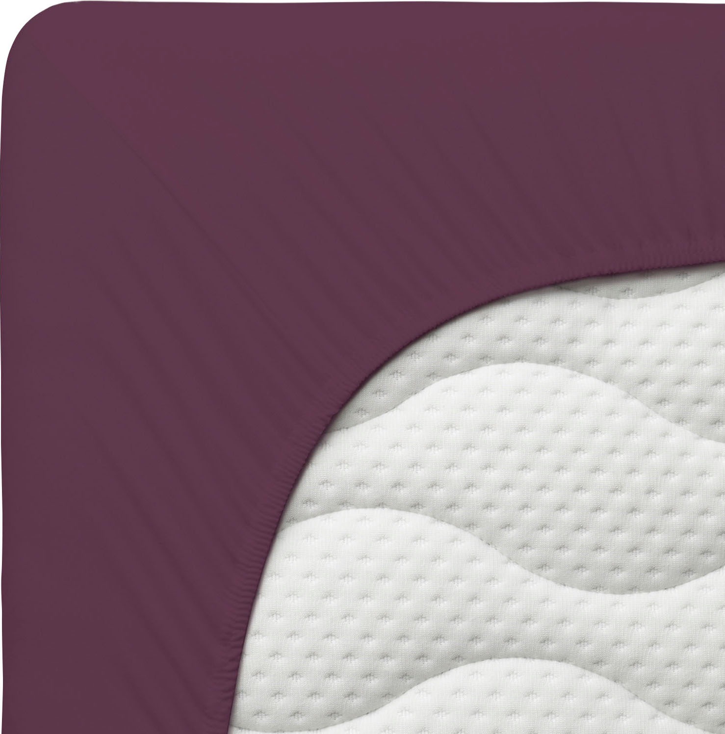Schlafgut Spannbettlaken »PURE Bio-Baumwolle mit Elasthan, dehnbar blickdicht, straff, Bettlaken«, PREMIUM Laken für Matratzen bis 30cm Höhe, in 90x200, 140x200, 180x200