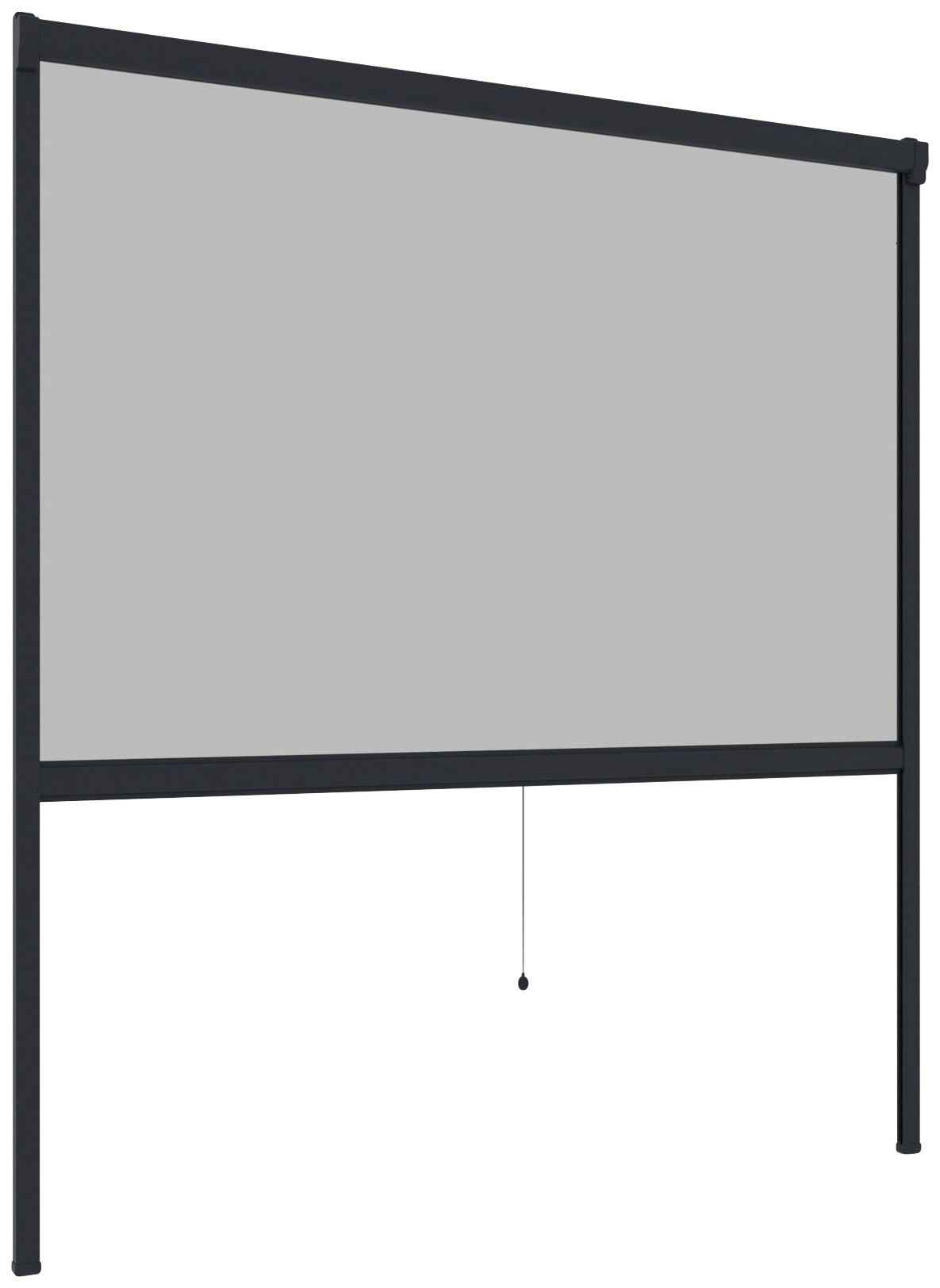 Windhager Insektenschutzrollo »PLUS«, transparent, BxH: 100x160 cm günstig online kaufen
