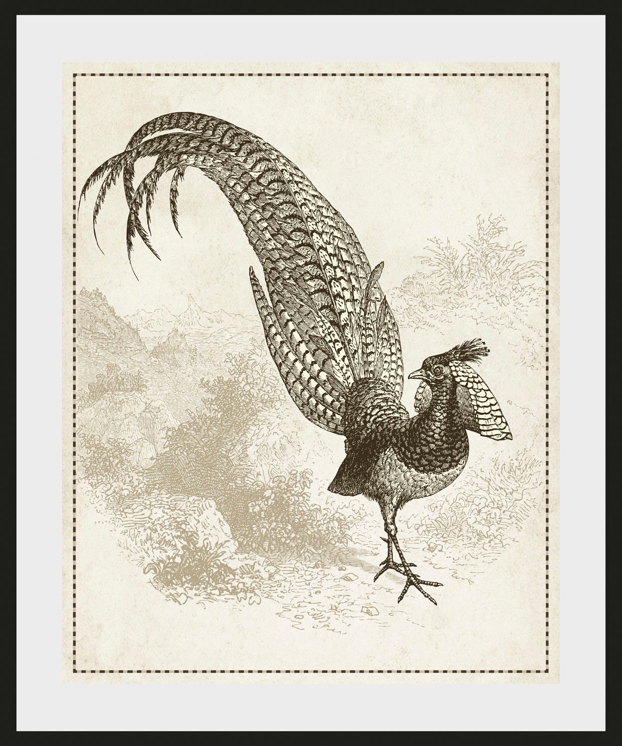 queence Bild »Lulu«, Vögel-Vogelbilder-historische Ereignisse-Kunst, (1 St.), HD Premium Poster-Druck inkl. Holzrahmen