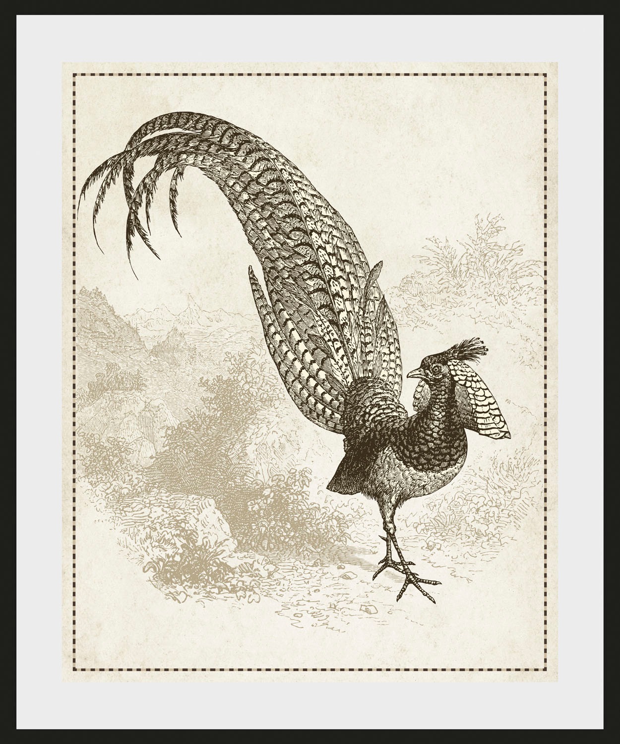 queence Bild »Lulu«, Vögel-Vogelbilder-historische Ereignisse-Kunst, (1 St. günstig online kaufen