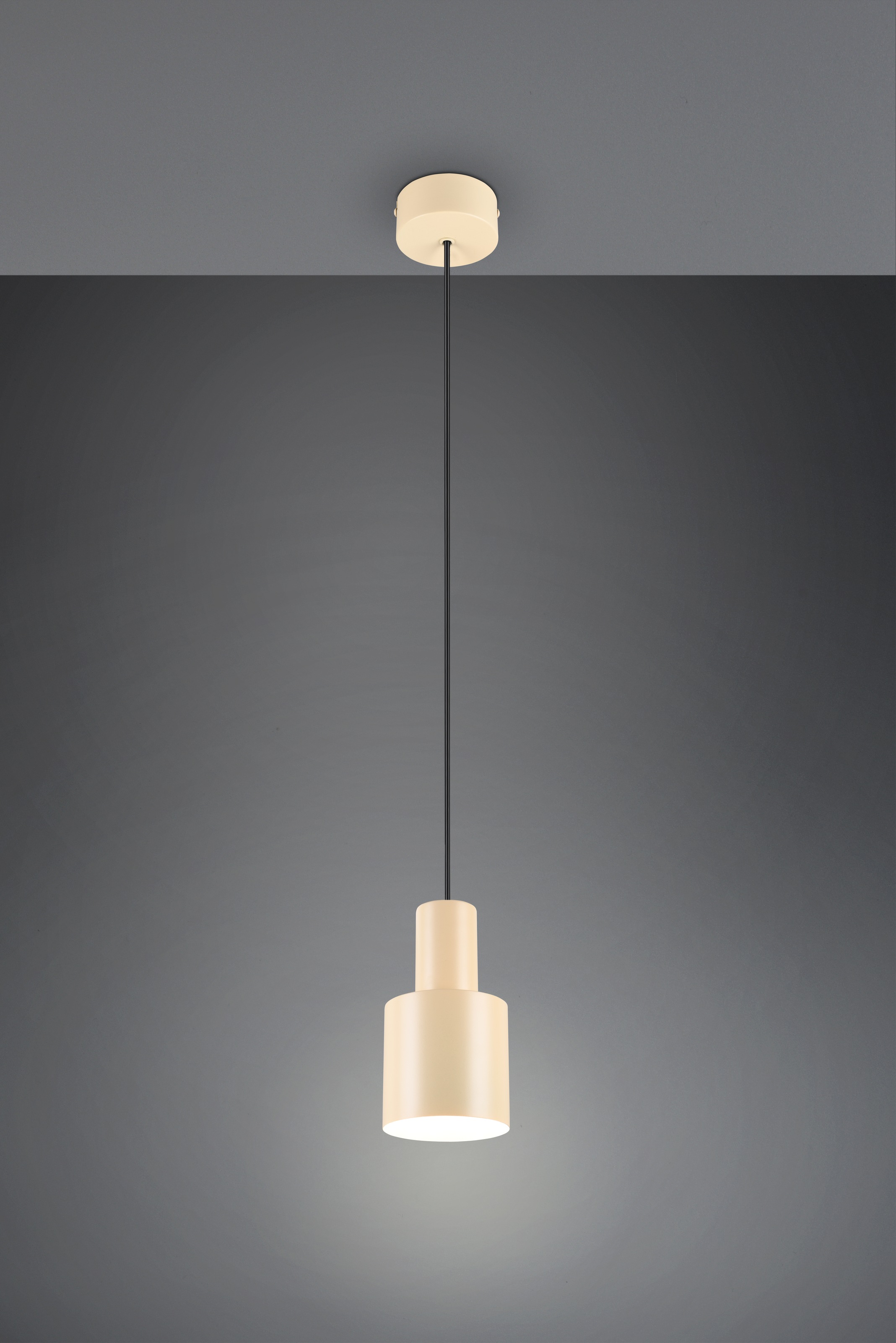 TRIO Leuchten Pendelleuchte »AGUDO, Hängelampe 1-flammig, exkl 1xE27 max 10W, höhenverstellbar«, 1 flammig, Leuchtmittel E27 | Leuchtmittel wechselbar, Hängelampe Ø 12cm, bis max 150cm Abhängung, Küche Esszimmer Wohnzimmer