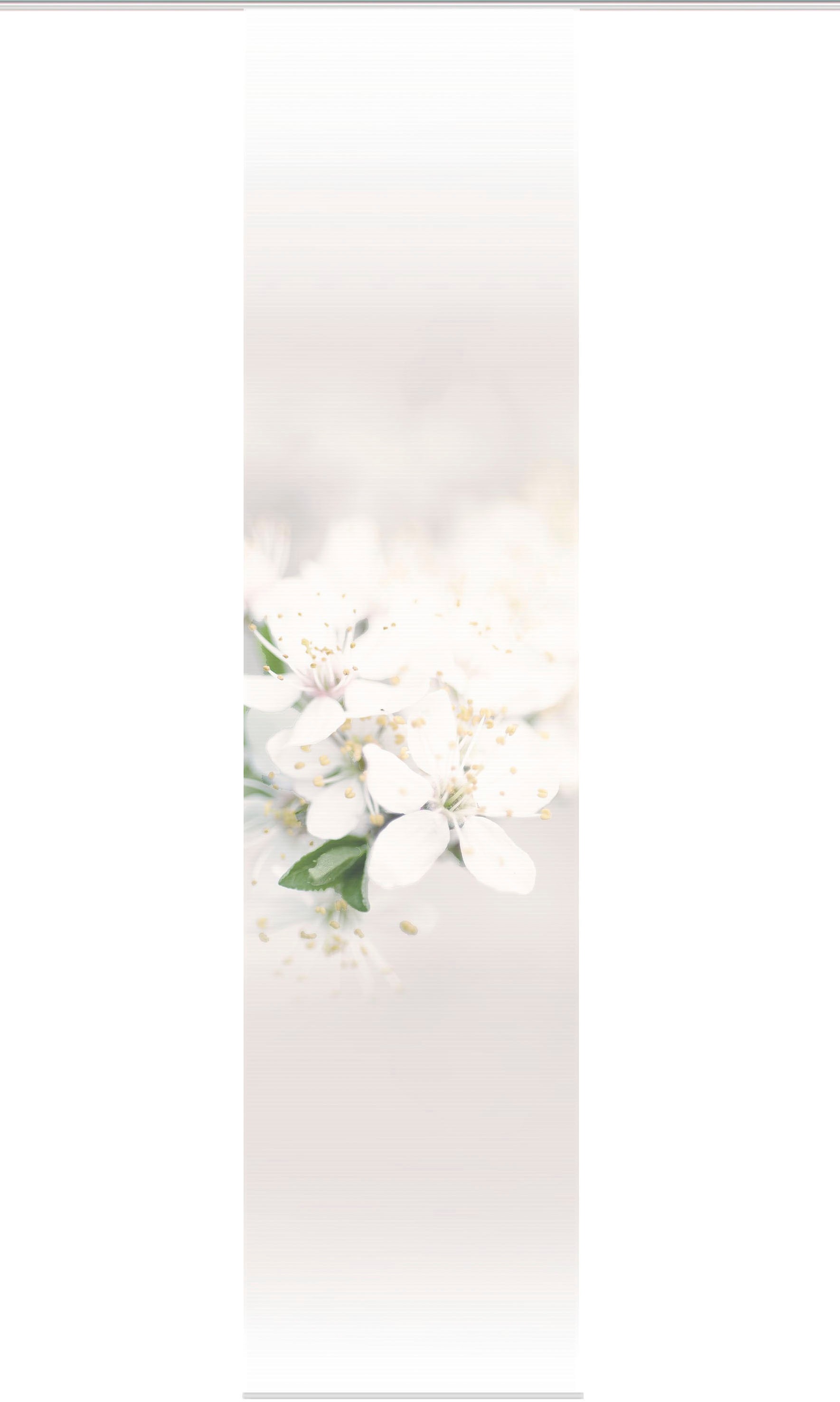 Vision S Schiebegardine »PULSA« Paneelwagen 1 Stk. tlg. HxB: 260x60, BAMBUS günstig online kaufen