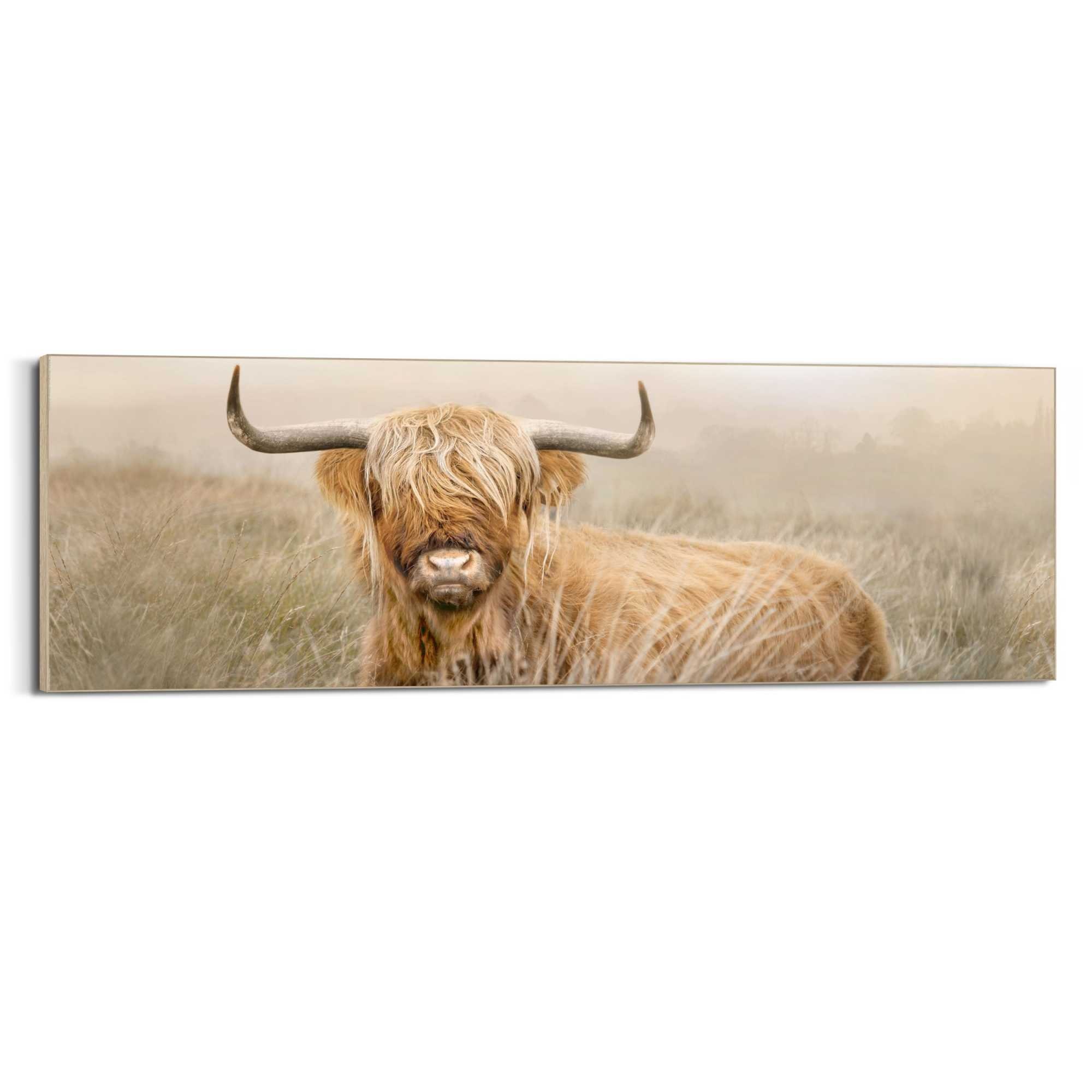 Reinders! Wandbild »Highlander Nature« günstig online kaufen