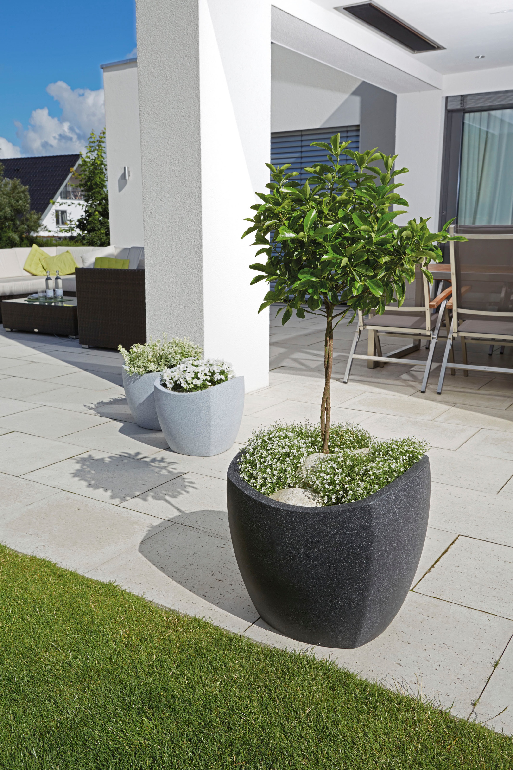 Scheurich Blumentopf »40/256 WAVE GLOBE CUBO«