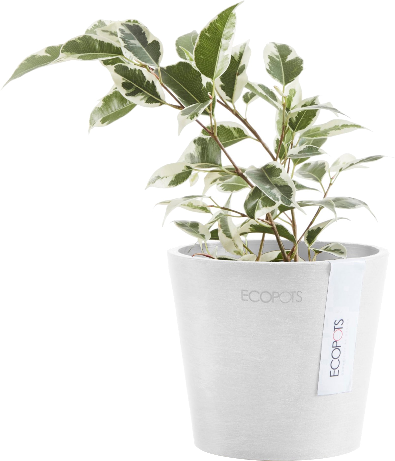 ECOPOTS Blumentopf »Amsterdam Mini 10,5 Weiß«, für den Innenbereich