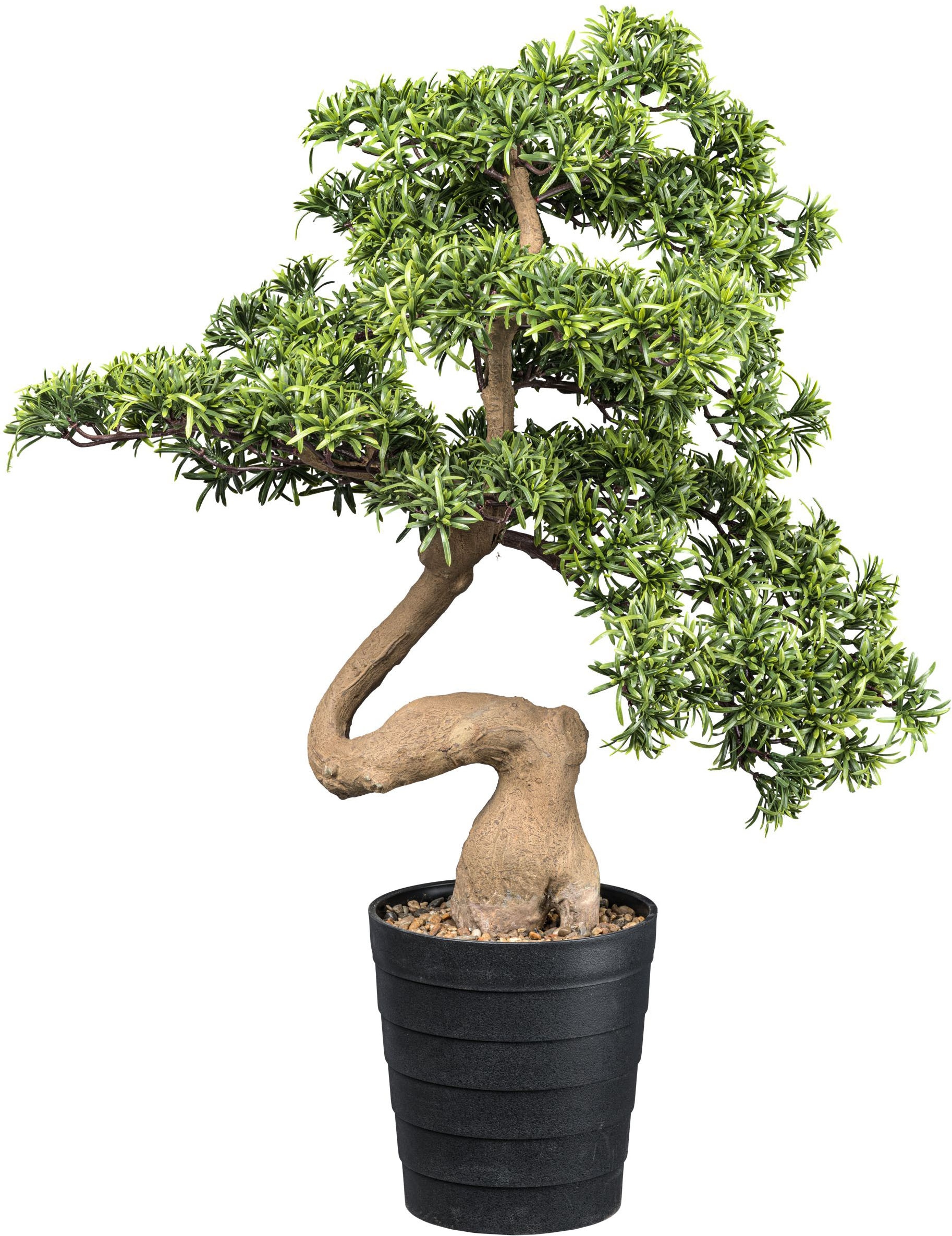 Creativ green Kunstbonsai »Bonsai Steineibe«, in toller Größe günstig online kaufen