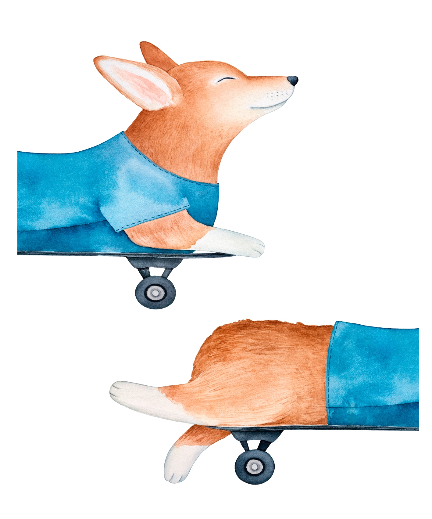 Lüttenhütt Bild mit Rahmen »oder Poster, Hund auf Skateboard«, Fahrzeuge-Fantasy-Hund-Hundebilder-Tiere, (1 St.), HD Premium Druck