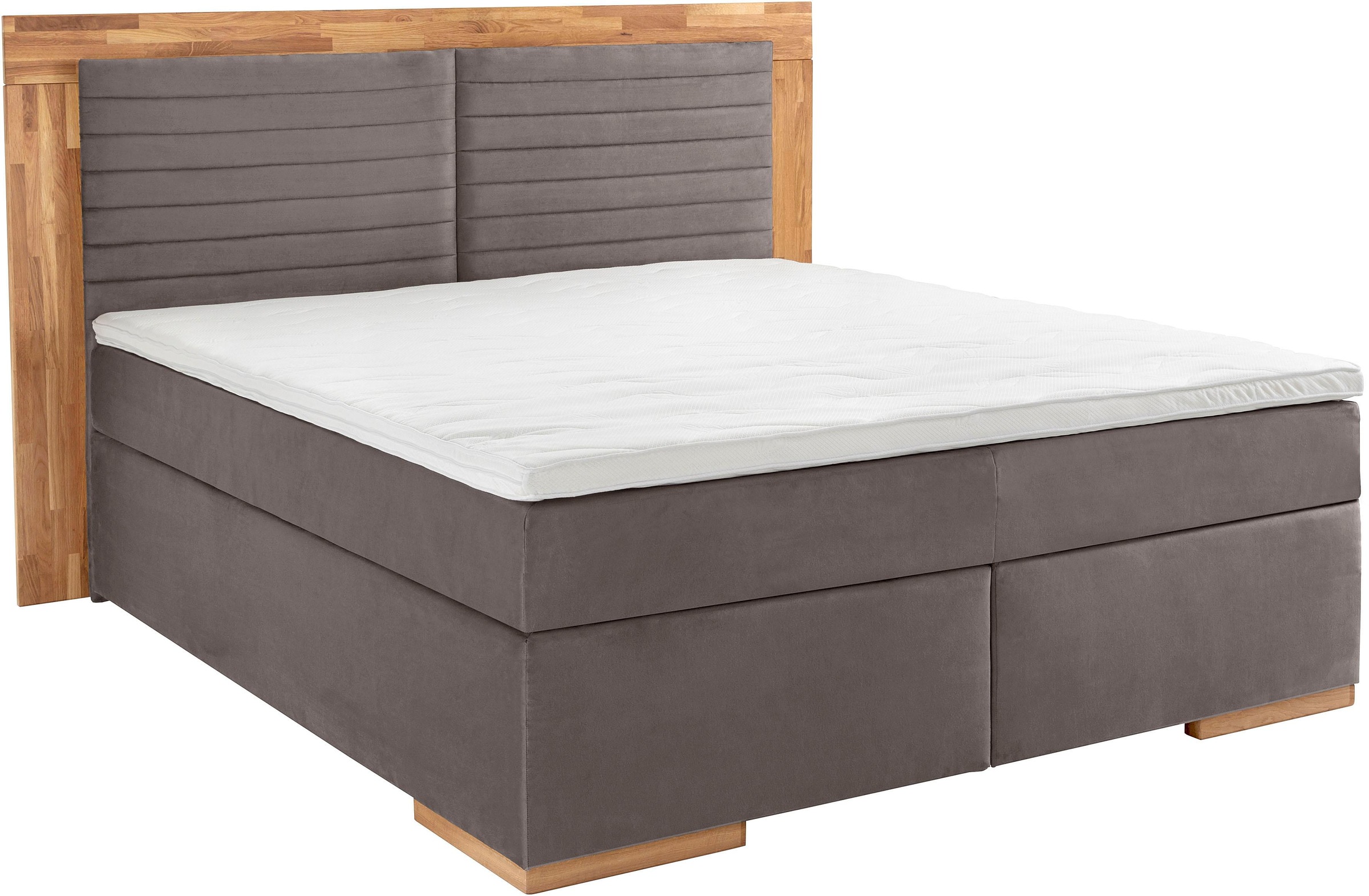 PLACES OF STYLE Boxspringbett "Cup" mit LED-Beleuchtung, Massivholzrahmen u günstig online kaufen