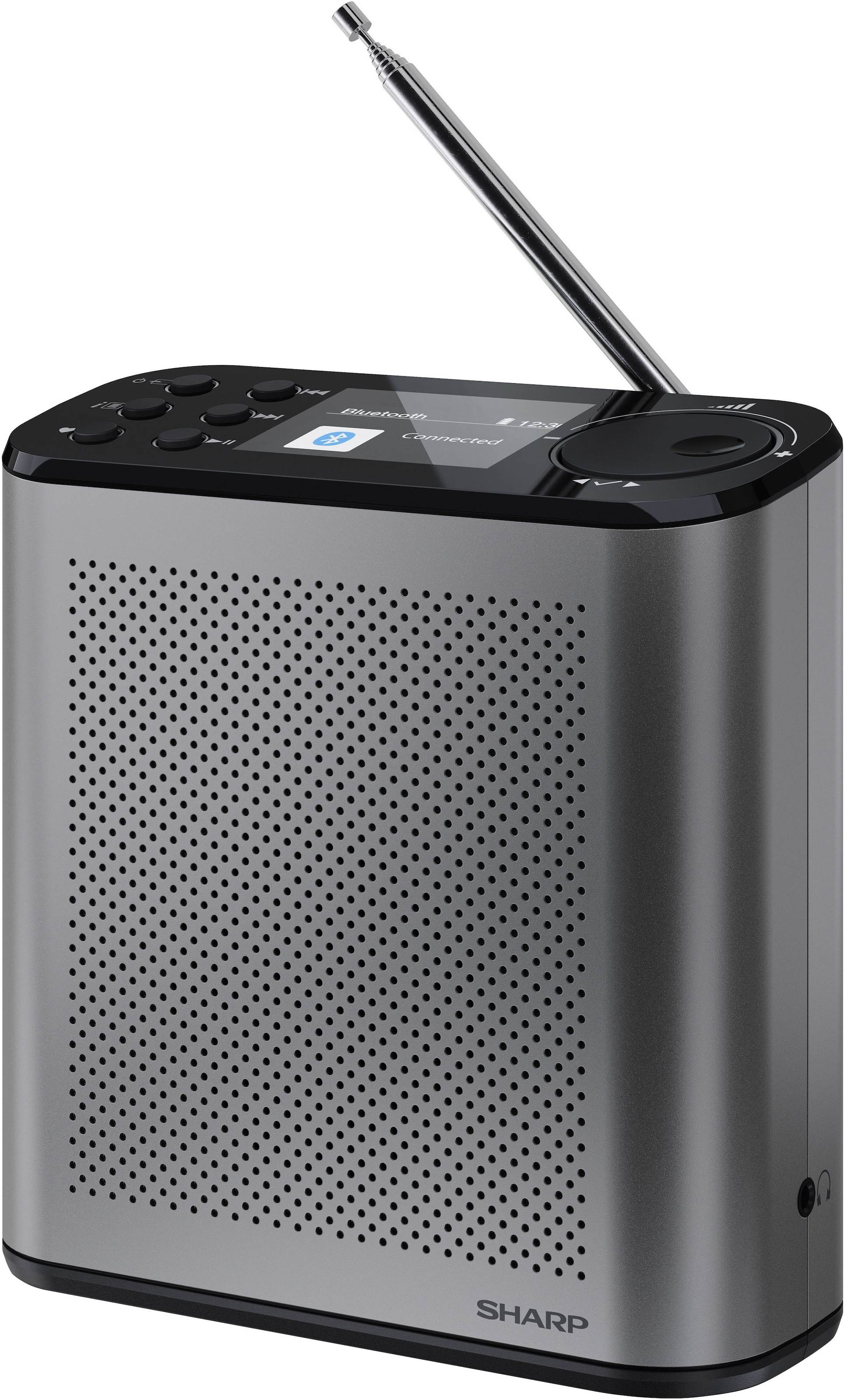 Sharp Digitalradio (DAB+) »DR-P530(GY)« (Bluetooth Digitalradio (DAB+) | UKW mit RDS )