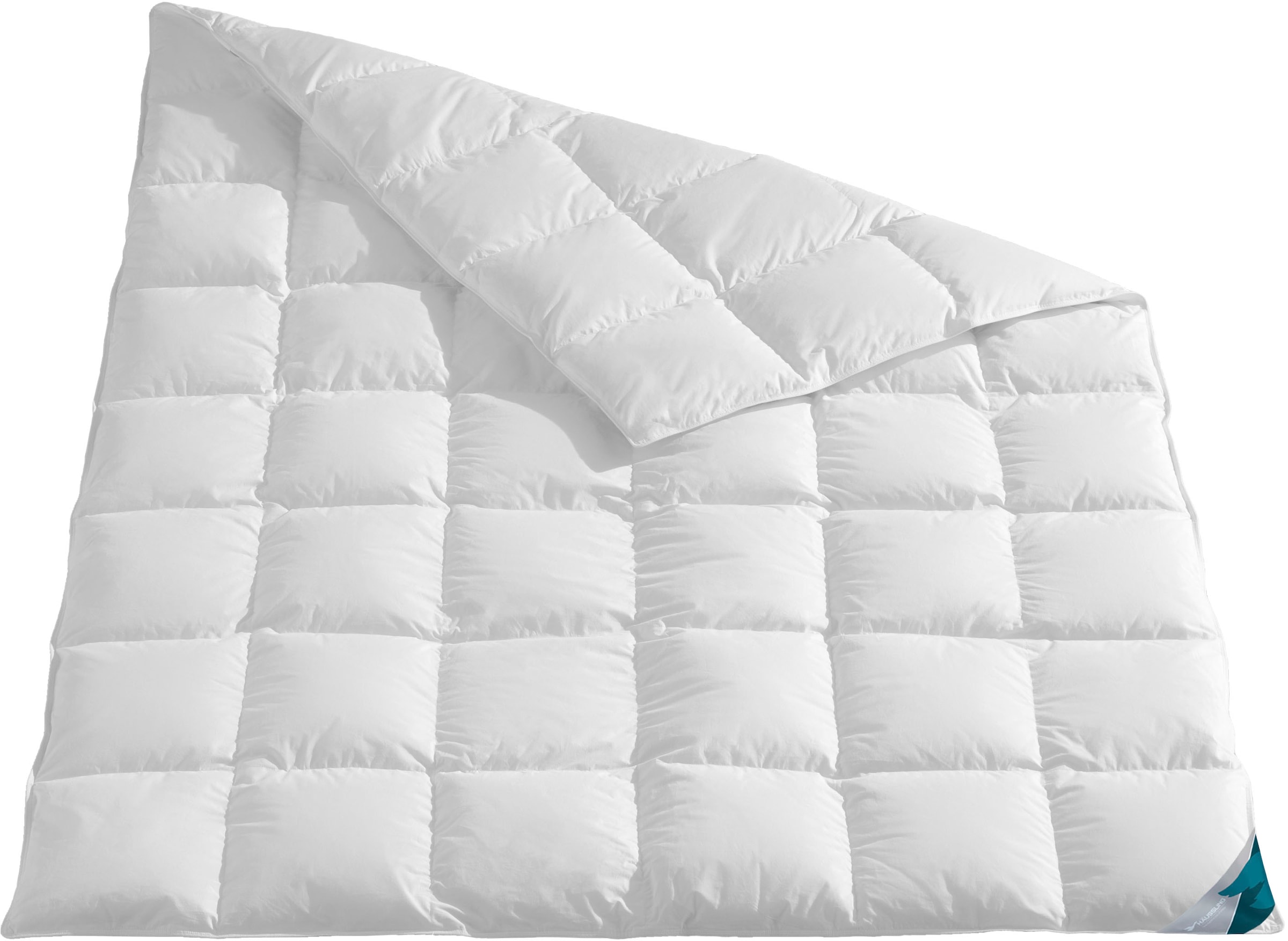 Haeussling Daunenbettdecke »Kuscheltraum, 135x200,155x220 & weitere Größen« günstig online kaufen