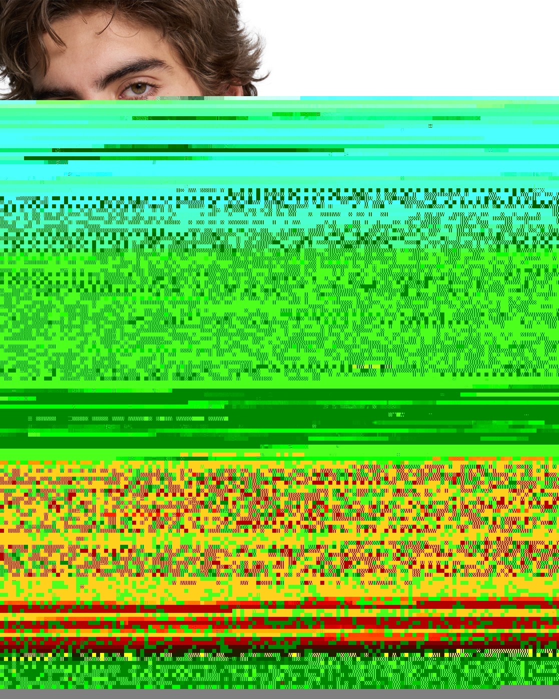 Quiksilver T-Shirt »EV Vista«