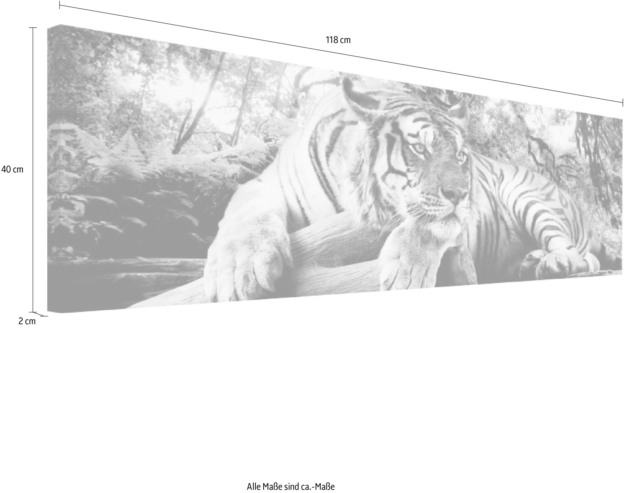 Reinders! Wandbild »Tigerblick Wandbild Tiger - Raubtier - Wandbild Wohnzimmer - Wandbild«
