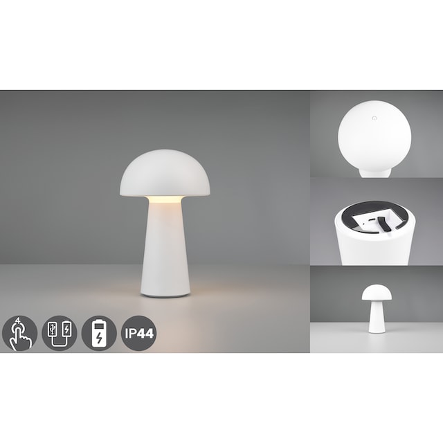 TRIO Leuchten LED Außen-Tischleuchte »Lennon«, 1 flammig-flammig, 2er Set  LED Tischlampe, 4-fach Touchdimmer, Ladefunktion per USB, IP44 online  kaufen