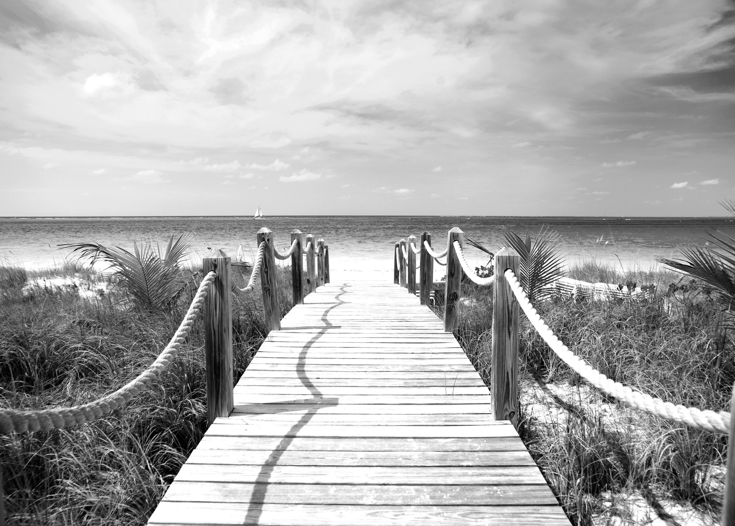 Papermoon Fototapete »Strand Schwarz & Weiß« günstig online kaufen