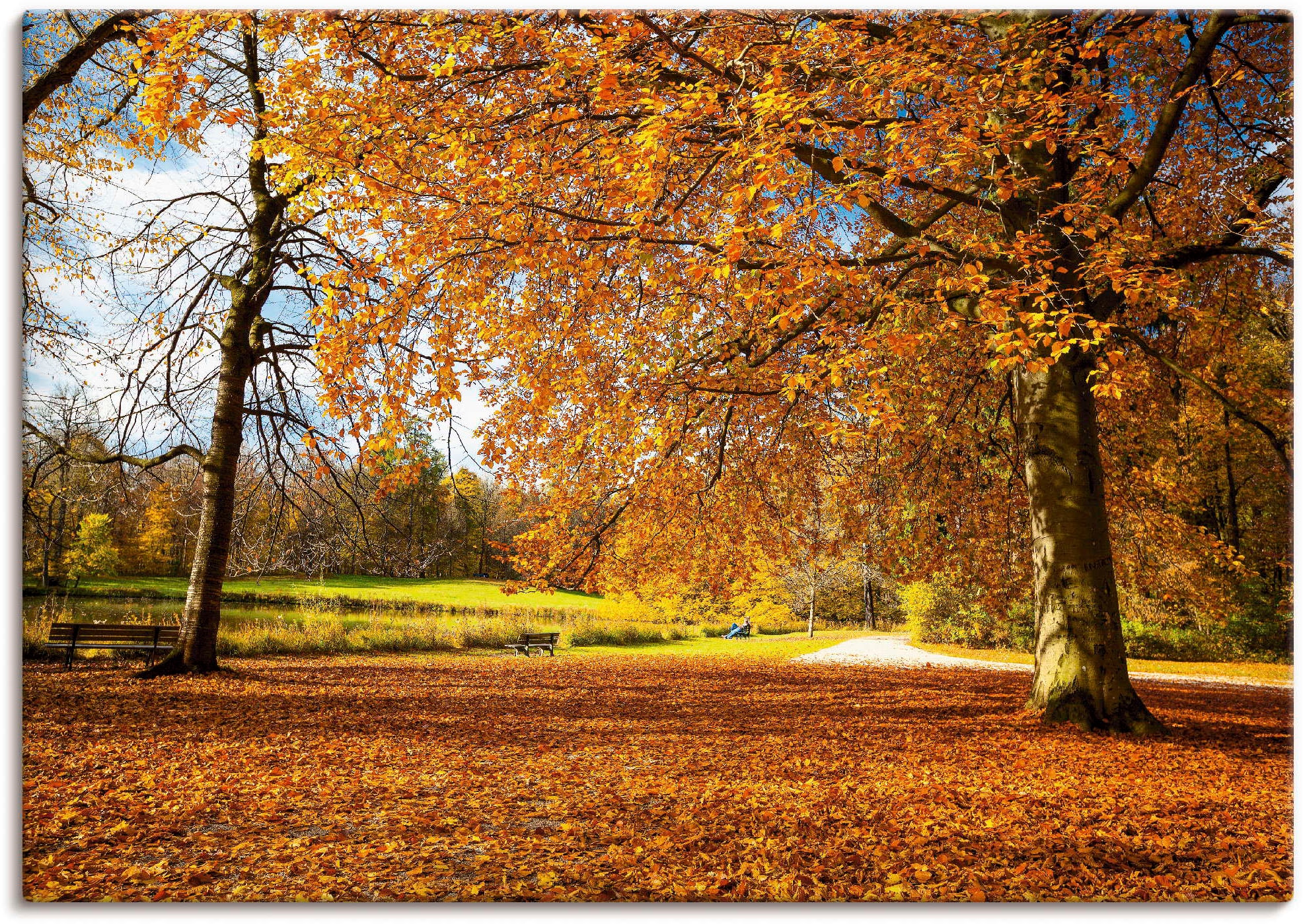 Artland Wandbild "Herbst bei Schlosses Nymphenburg", Wiesen & Bäume, (1 St. günstig online kaufen