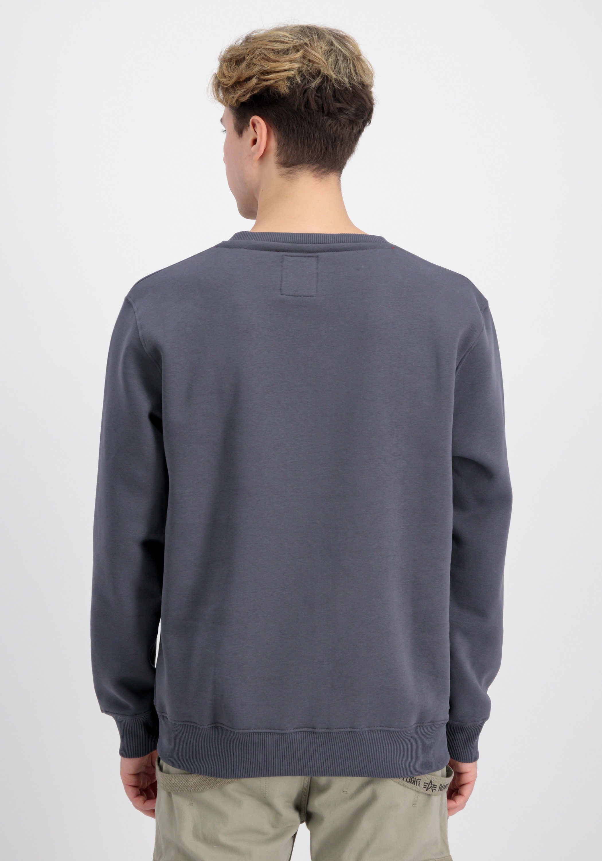 Alpha Industries Sweater »Alpha Industries Men - Sweatshirts Rainbow Refl. Label Sweater«