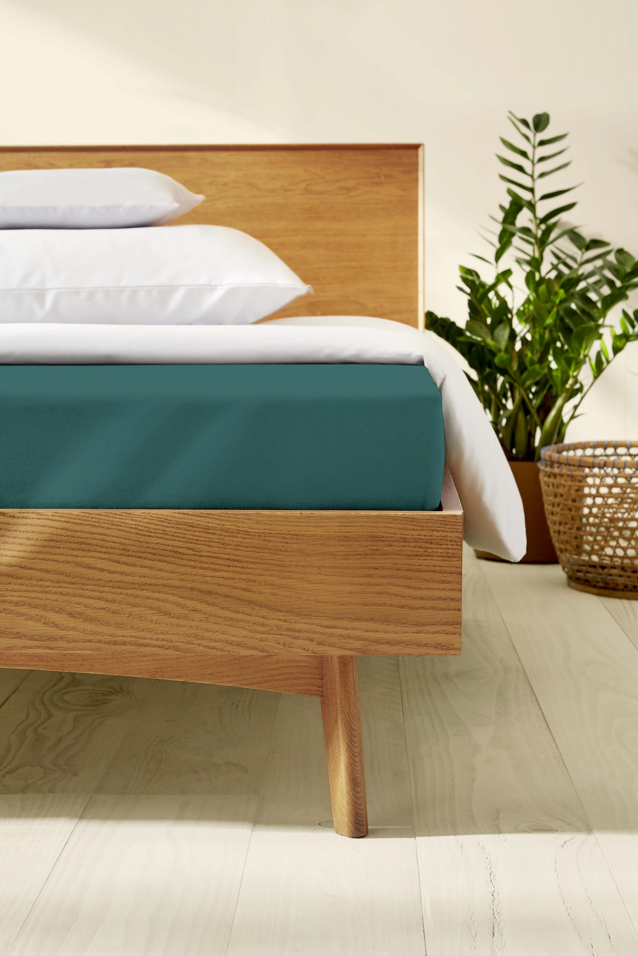 Kaeppel Spannbettlaken »Single Jersey Mako Cotton«, Bettlaken aus 100% Baumwolle