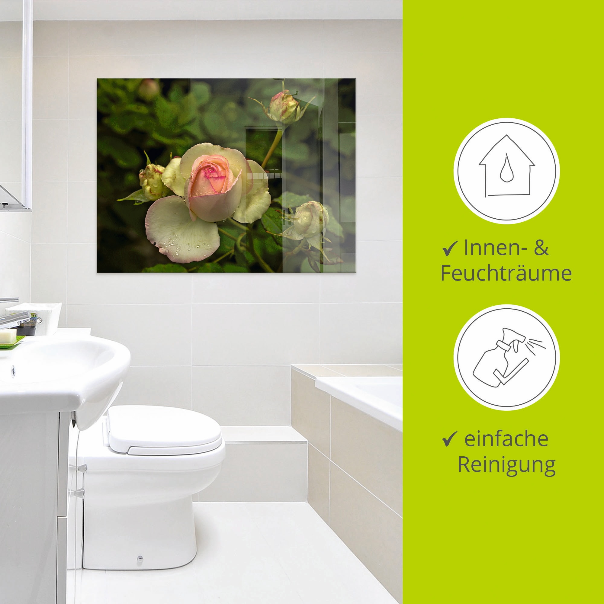 Artland Glasbild »Rosa Rose«, Blumen, (1 St.), in verschiedenen Größen